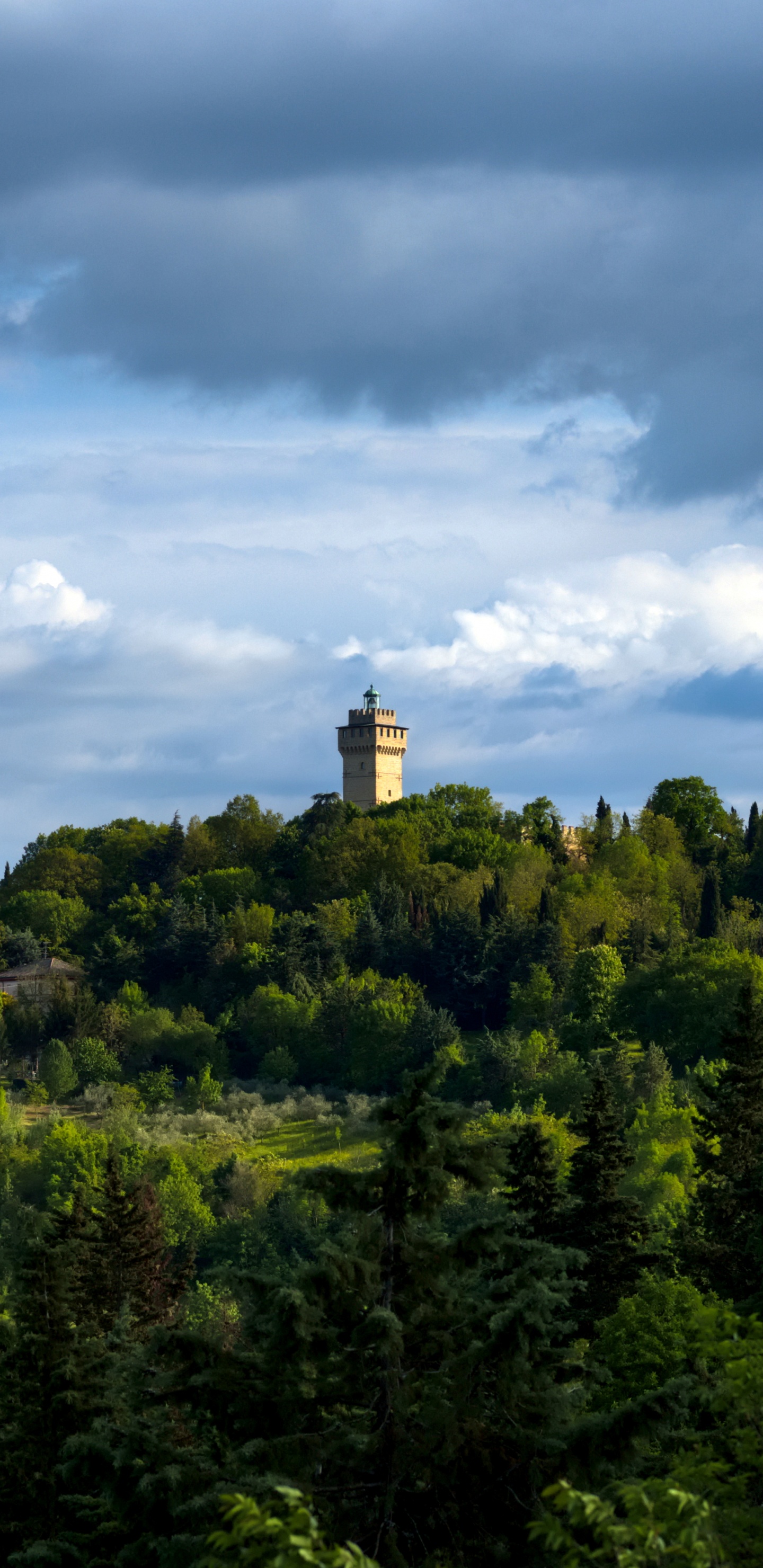 Natur, Cloud, Vegetation, Gr, Hill. Wallpaper in 1440x2960 Resolution