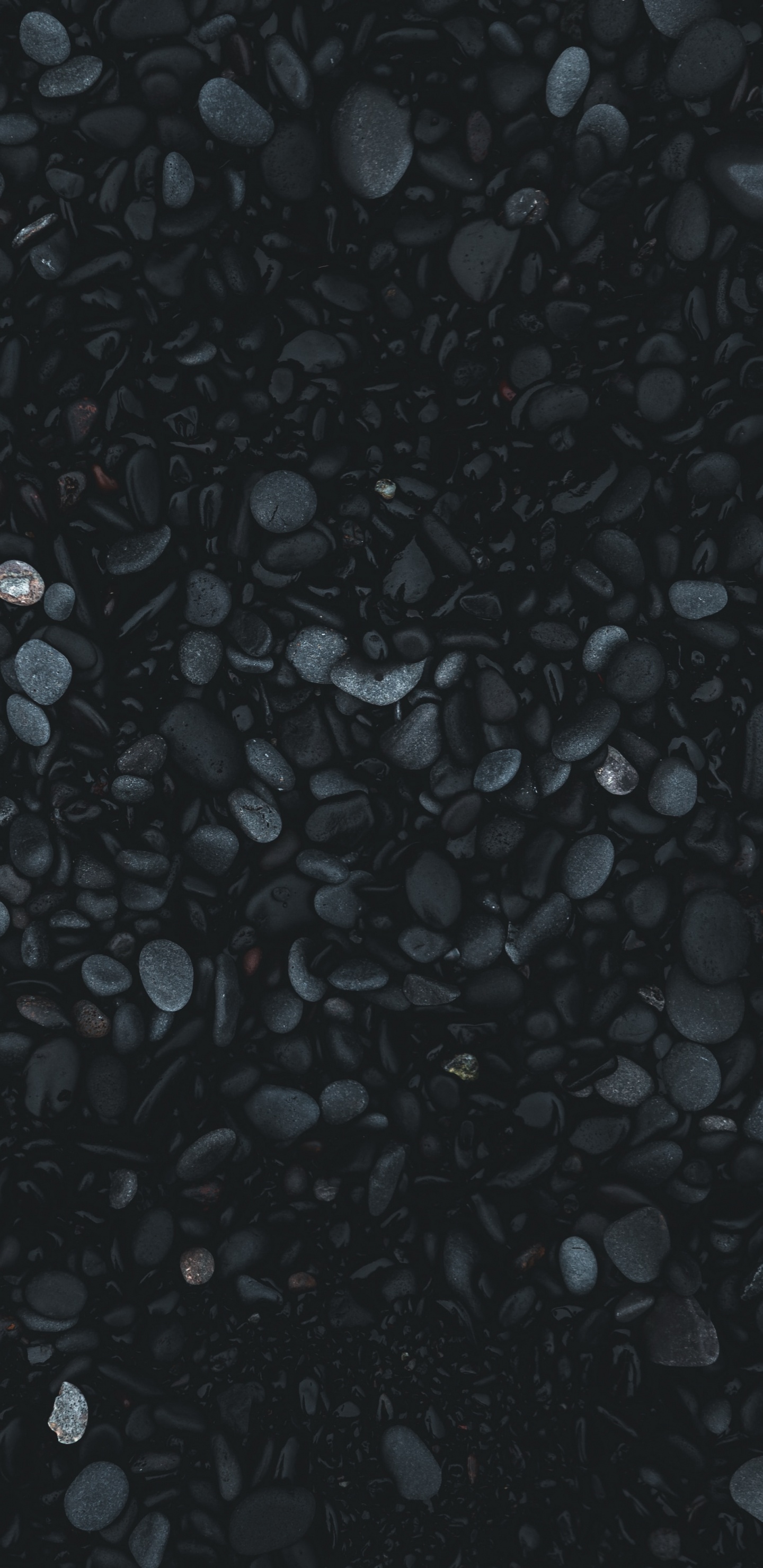 Schwarze Und Weiße Steine Auf Dem Boden. Wallpaper in 1440x2960 Resolution