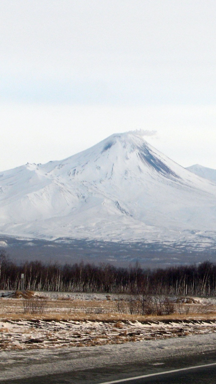 Graue Asphaltstraße in Der Nähe Von Braunen Bäumen Und Schneebedeckten Bergen Tagsüber. Wallpaper in 720x1280 Resolution