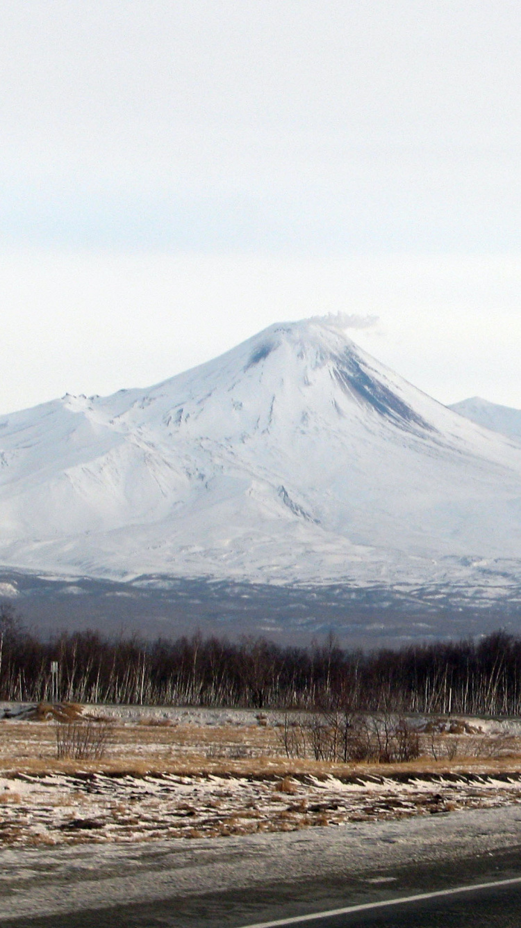 Route Goudronnée Grise Près Des Arbres Bruns et de la Montagne Couverte de Neige Pendant la Journée. Wallpaper in 750x1334 Resolution