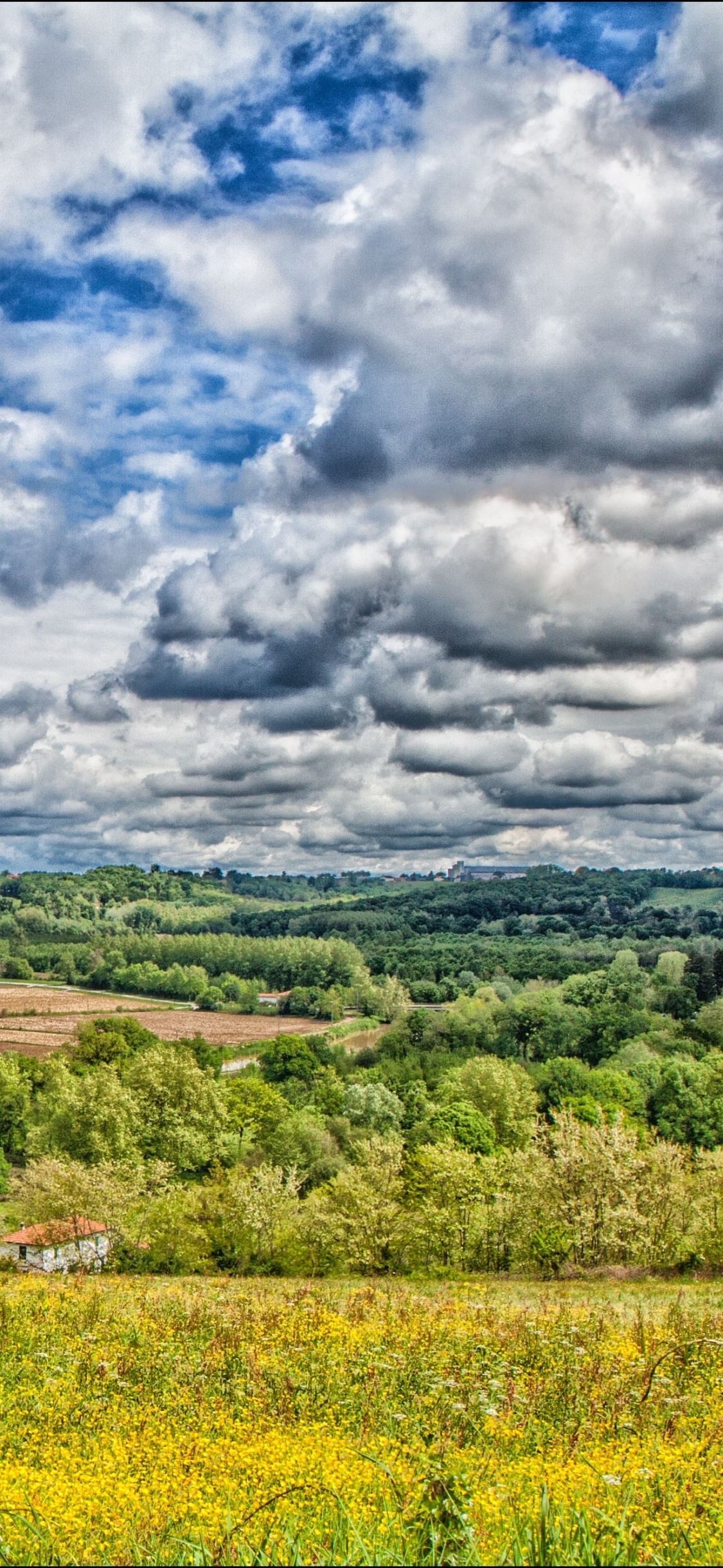 Champ D'herbe Verte Sous Les Nuages Blancs et le Ciel Bleu Pendant la Journée. Wallpaper in 1125x2436 Resolution