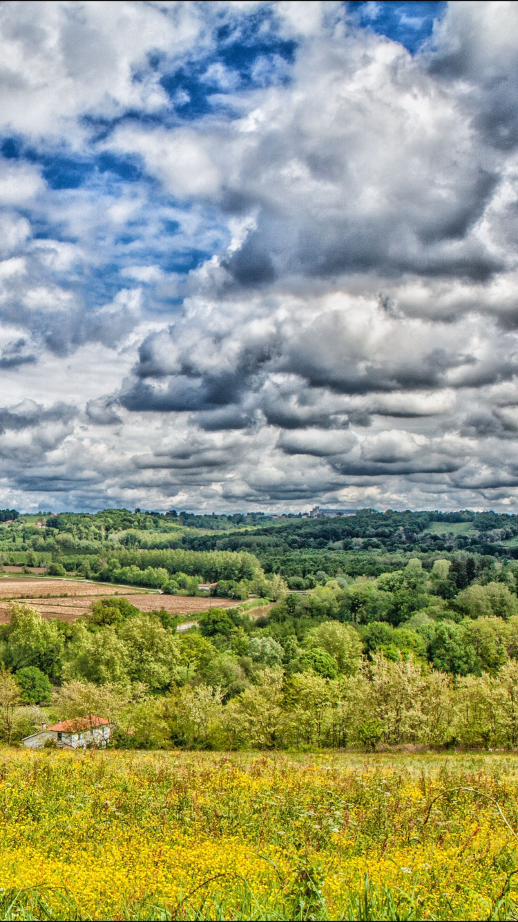 Grüne Wiese Unter Weißen Wolken Und Blauem Himmel Tagsüber. Wallpaper in 750x1334 Resolution