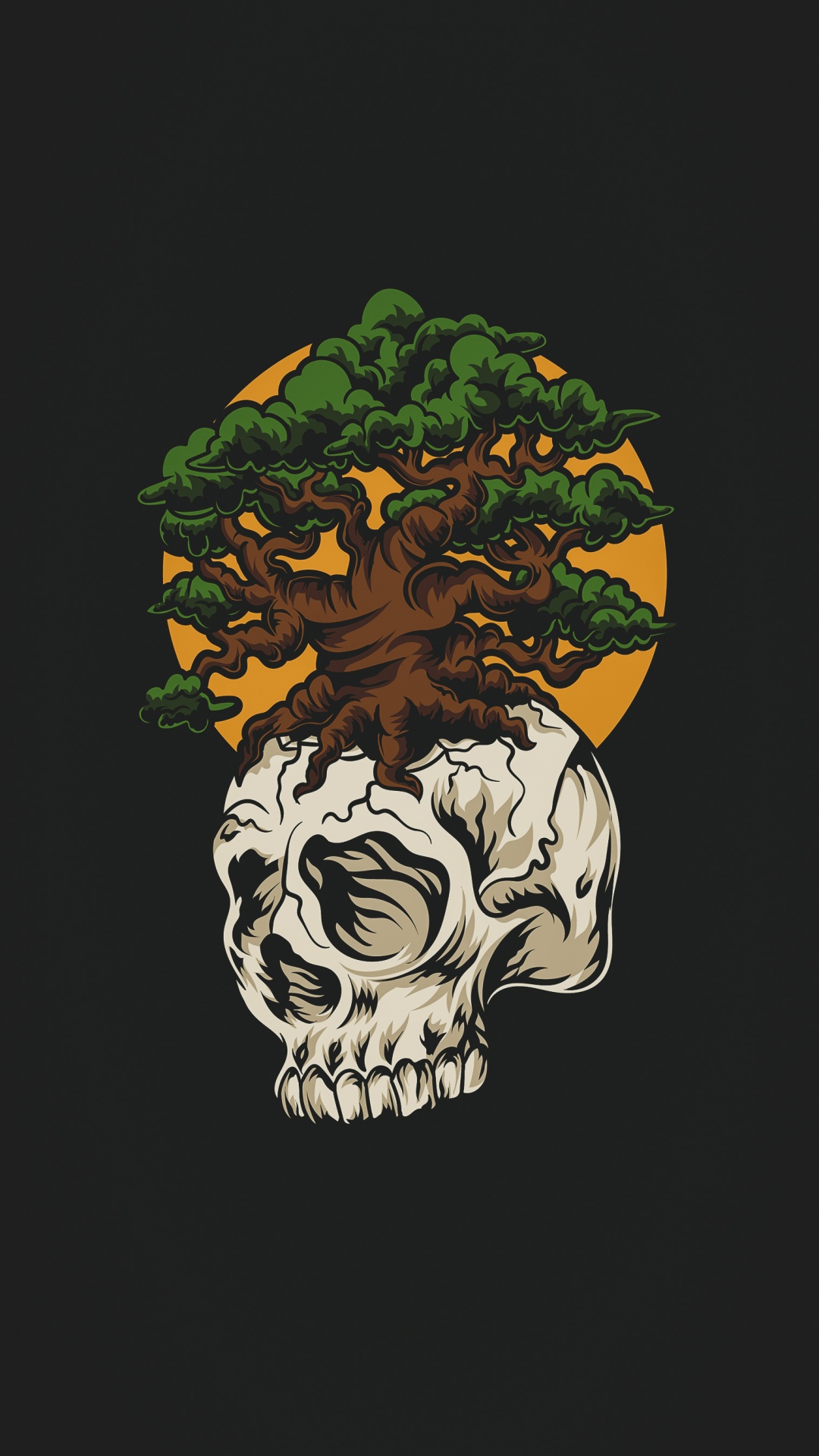 Skull, Illustration, Head, Human Body, Bone. Wallpaper in 1080x1920 Resolution