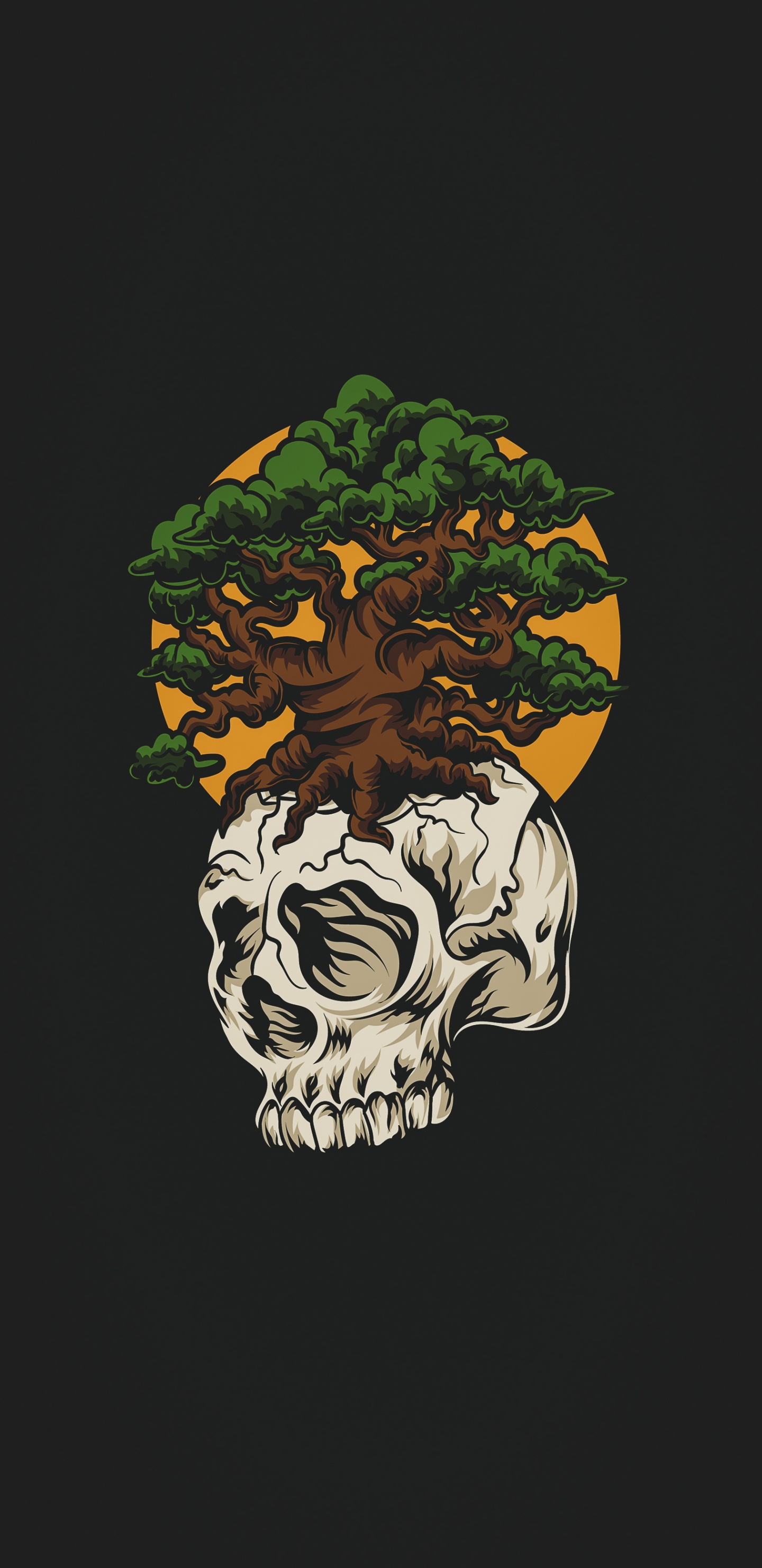 Skull, Illustration, Head, Human Body, Bone. Wallpaper in 1440x2960 Resolution