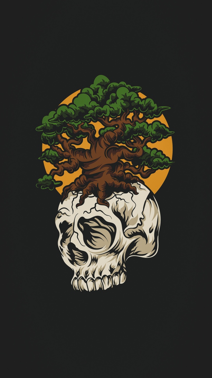 Skull, Illustration, Head, Human Body, Bone. Wallpaper in 720x1280 Resolution