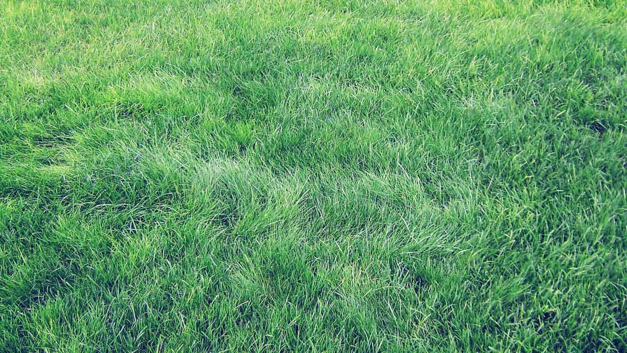 Ios, IOS7, 安卓, 绿色的, 草坪 壁纸 1280x720 允许