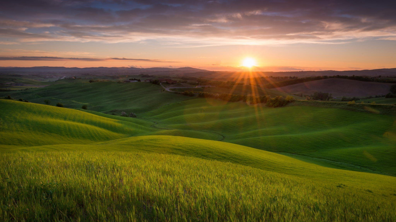 Green Grass Field During Sunset. Wallpaper in 1366x768 Resolution