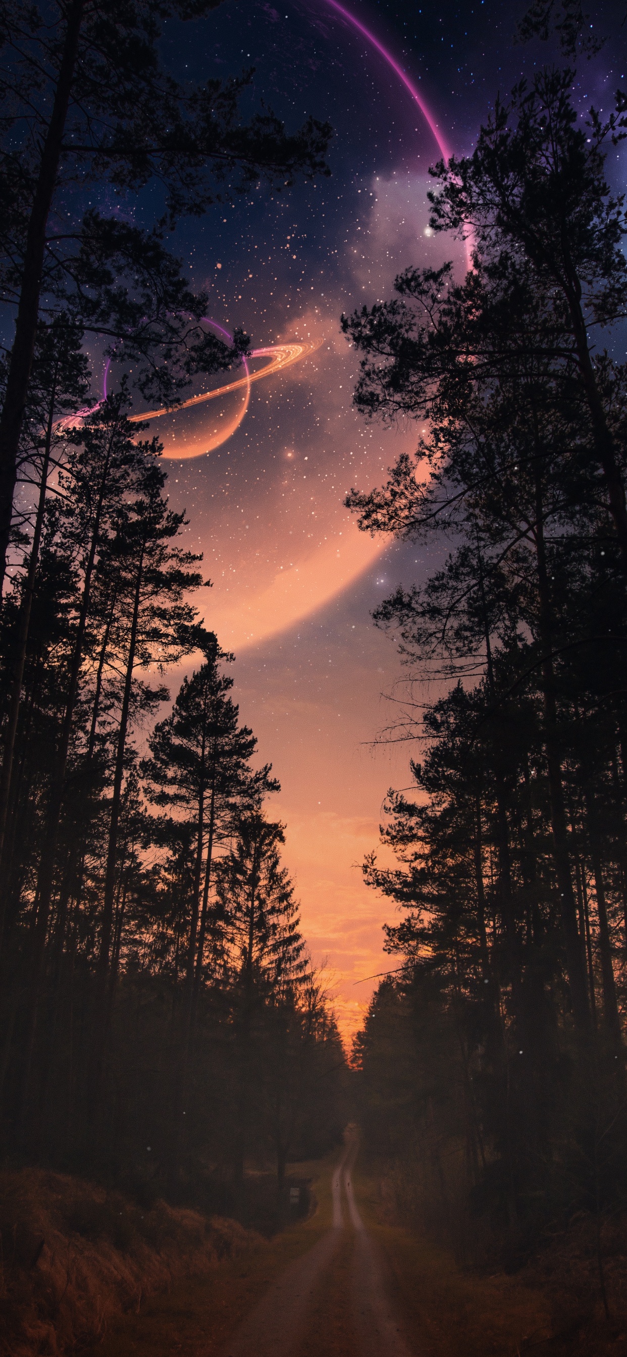 Natur, Atmosphäre, Cloud, Ökoregion, Blatt. Wallpaper in 1242x2688 Resolution