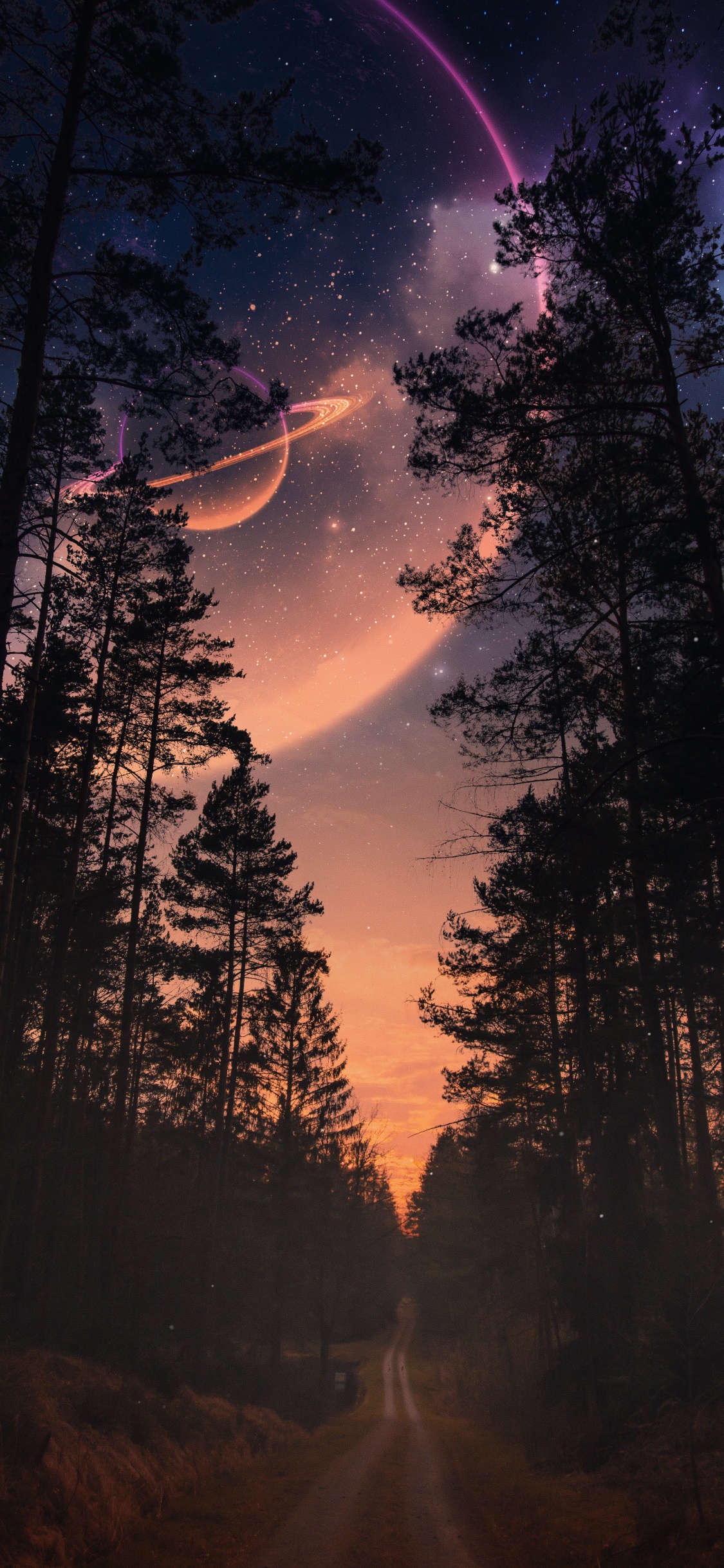 Nature, Atmosphère, L'écorégion, Feuille, Paysage Naturel. Wallpaper in 1125x2436 Resolution