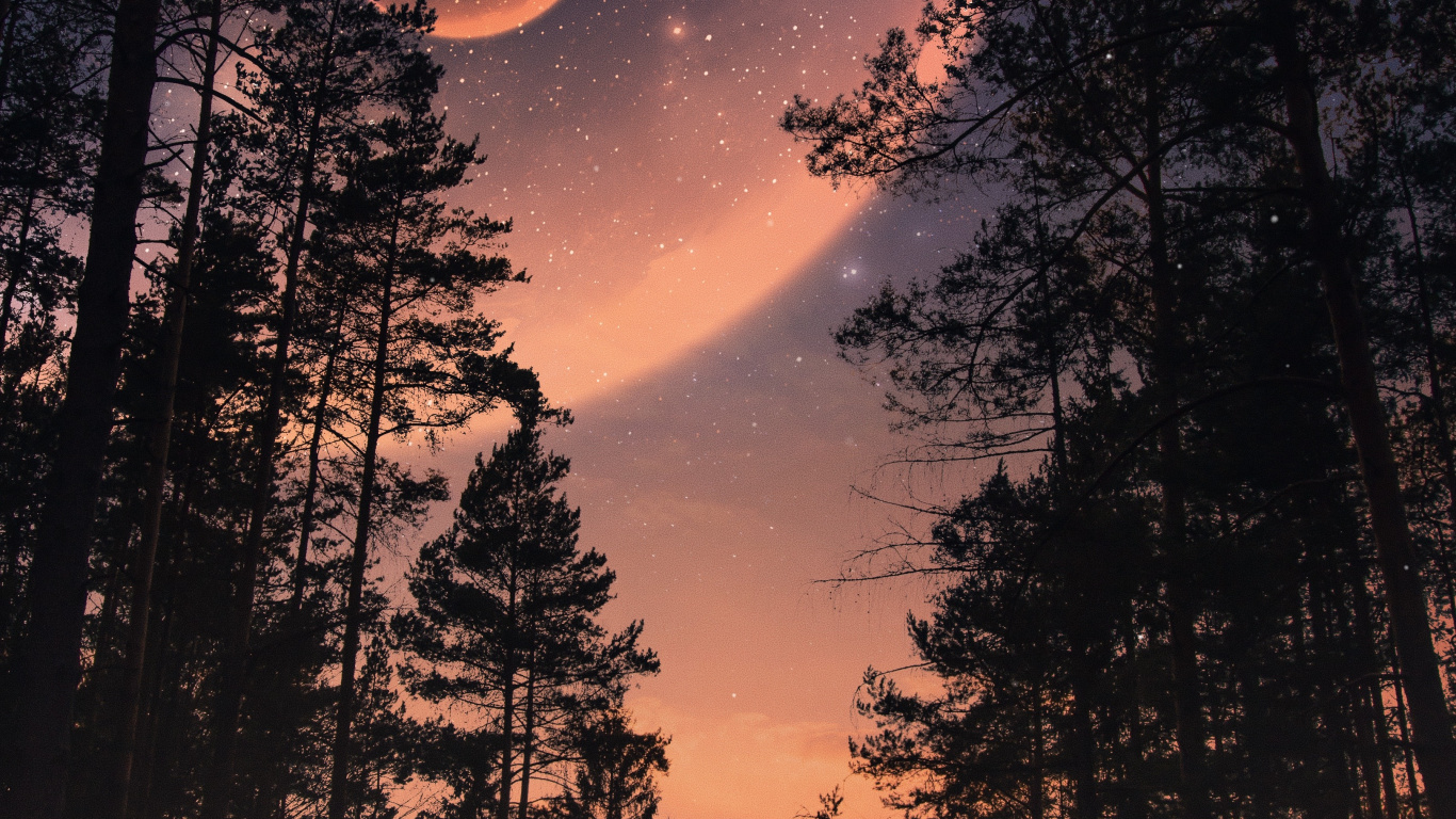 Nature, Atmosphère, L'écorégion, Feuille, Paysage Naturel. Wallpaper in 1366x768 Resolution