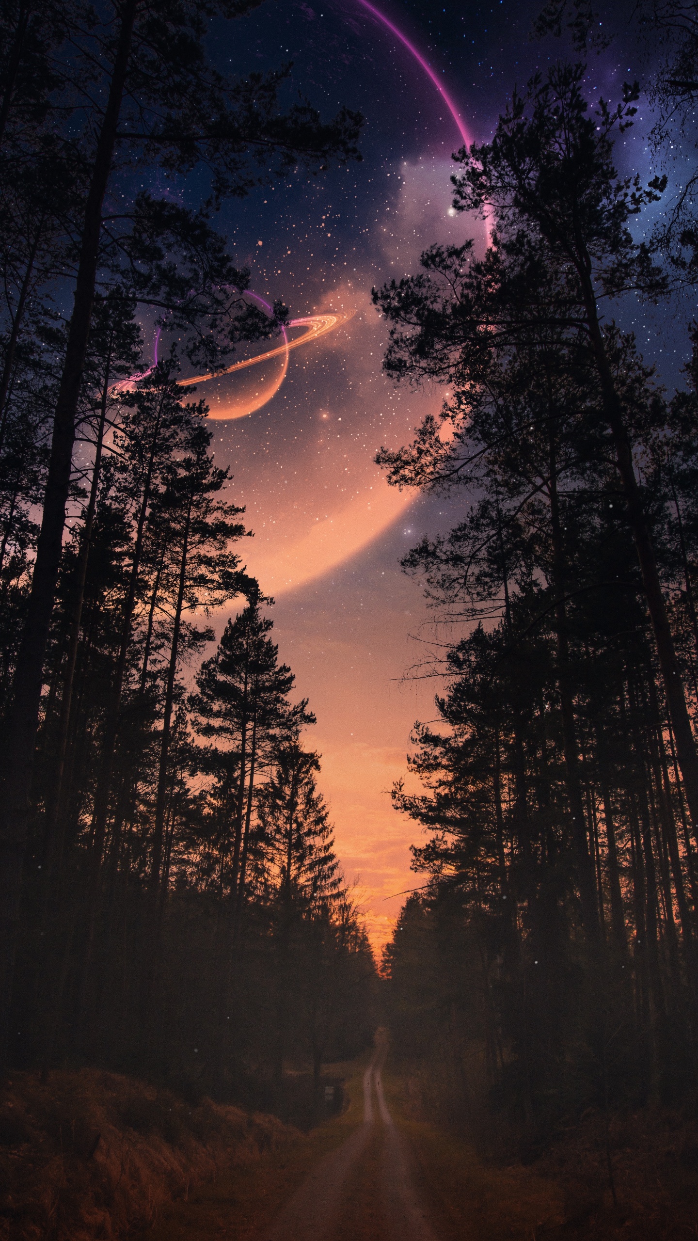 Nature, Atmosphère, L'écorégion, Feuille, Paysage Naturel. Wallpaper in 1440x2560 Resolution