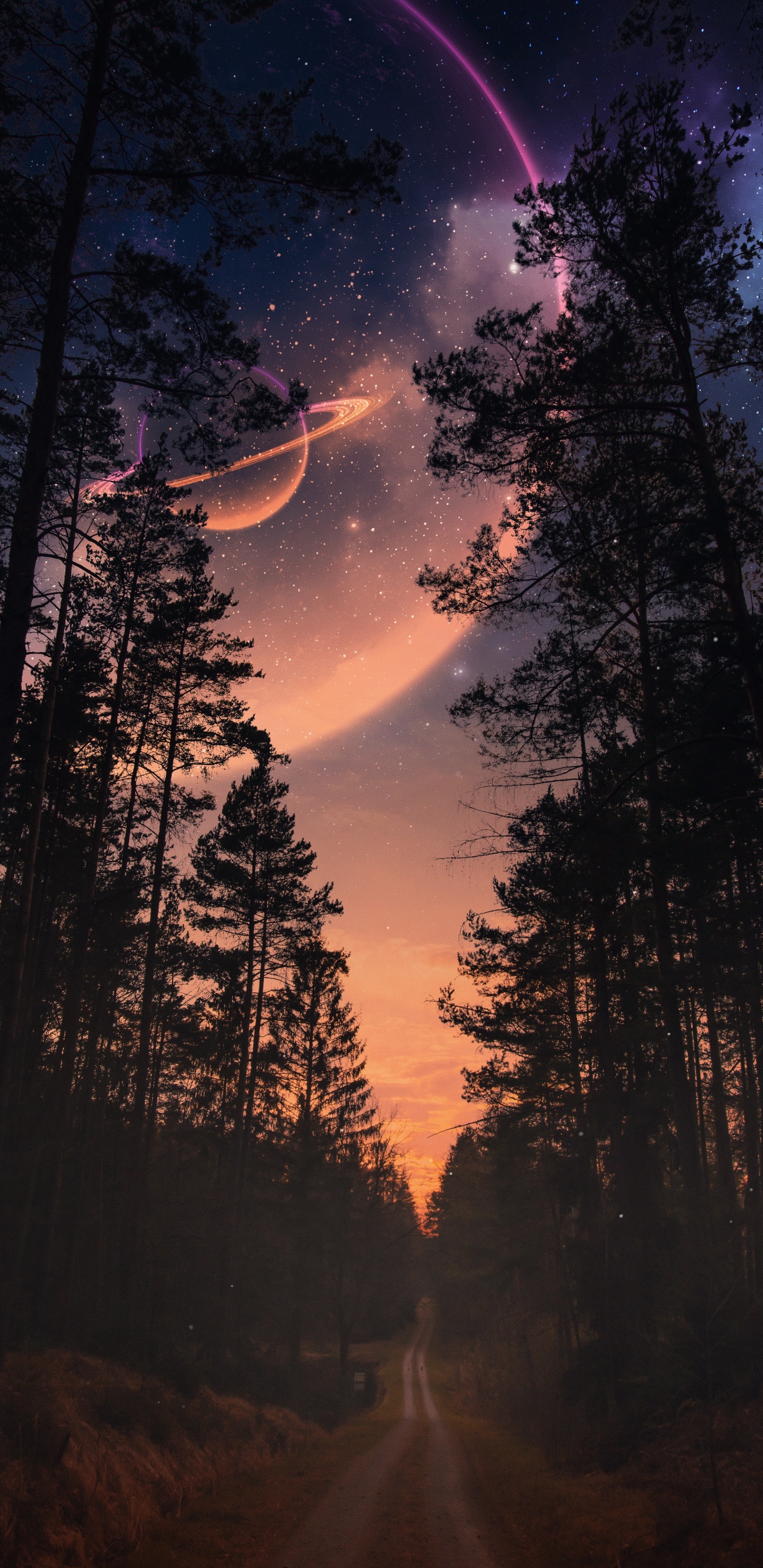 Nature, Atmosphère, L'écorégion, Feuille, Paysage Naturel. Wallpaper in 1440x2960 Resolution