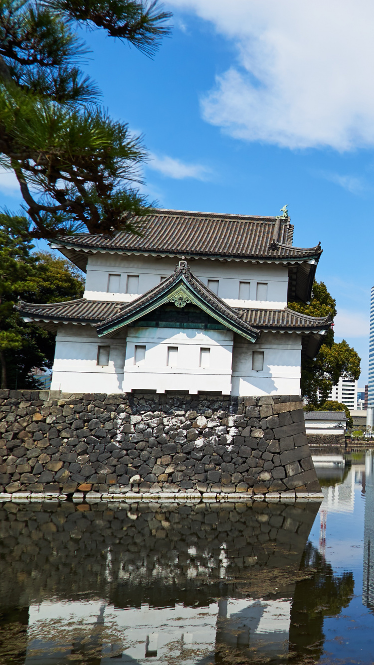 White Concrete Building Near Body of Water During Daytime. Wallpaper in 750x1334 Resolution