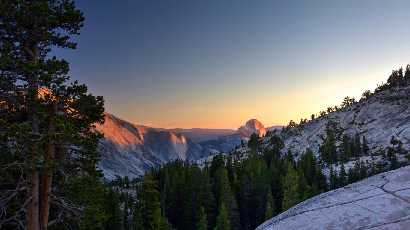 Green Pine Trees Near Brown Mountain During Daytime. Wallpaper in 1366x768 Resolution