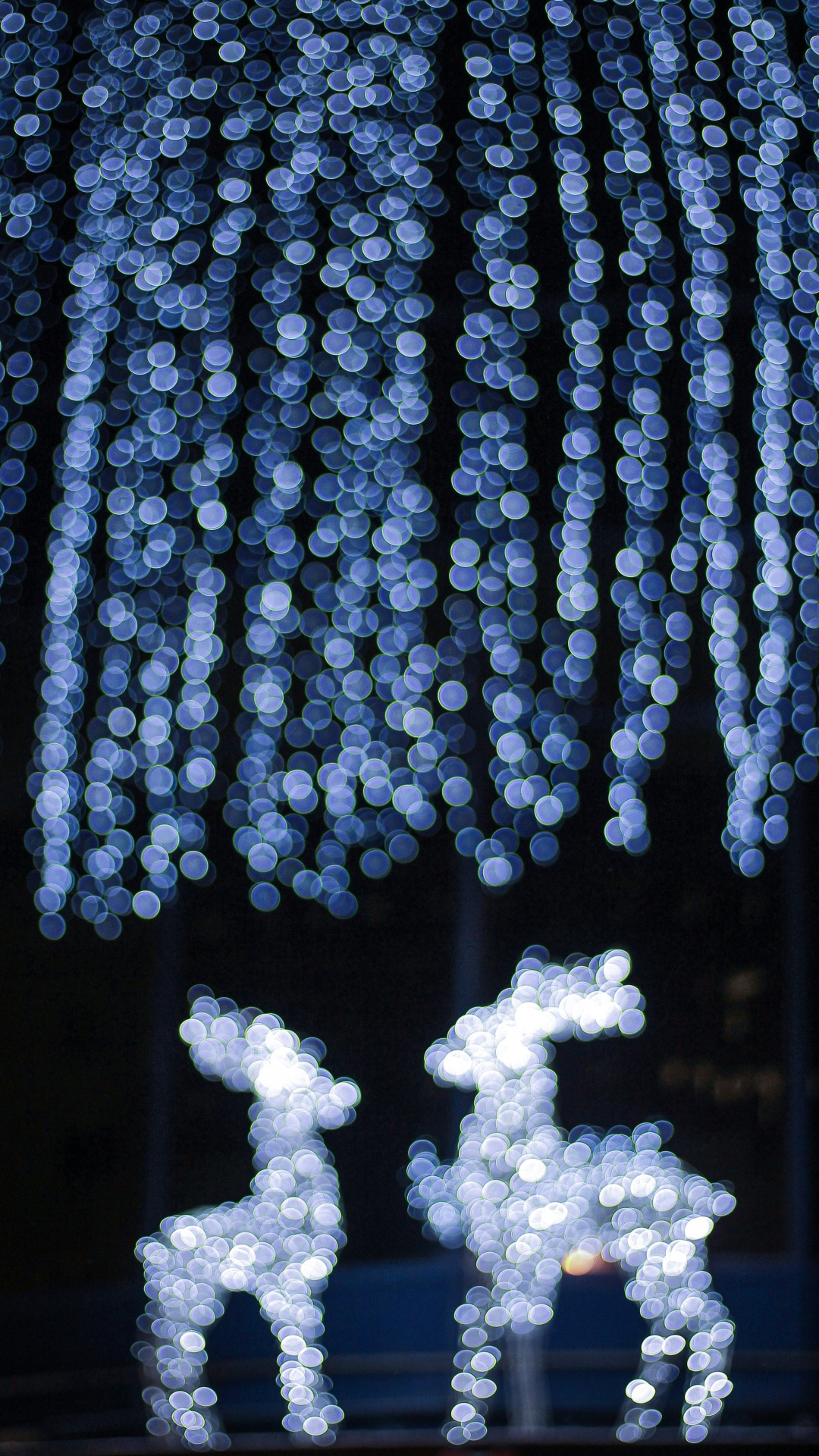 El Día De Navidad, Azul, Luz, Invierno, Rendimiento. Wallpaper in 1080x1920 Resolution