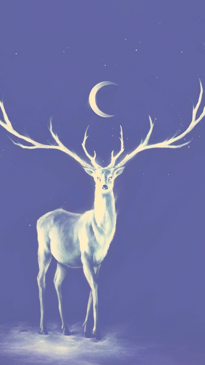 Brown Deer Standing on Brown Sand During Night Time. Wallpaper in 720x1280 Resolution