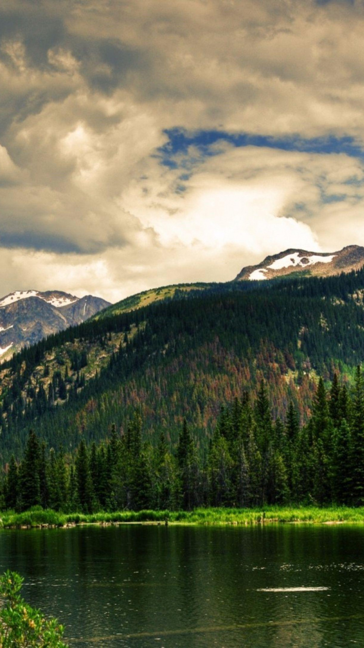 Grüne Bäume in Der Nähe Des Sees Unter Bewölktem Himmel Tagsüber. Wallpaper in 750x1334 Resolution