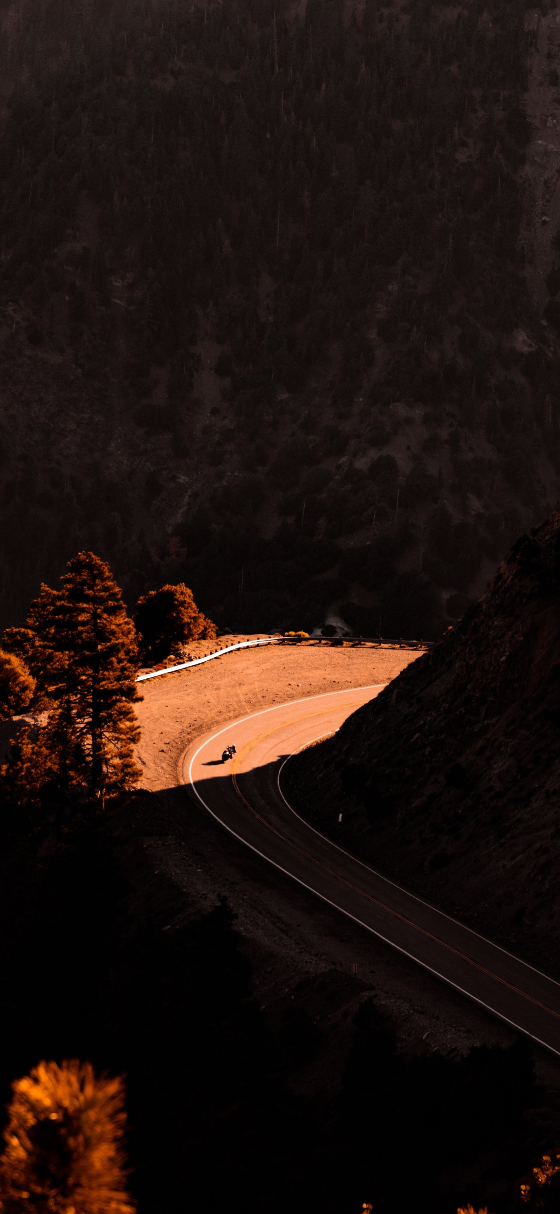 Alone Long Drive Quotes, Quotation, Natural Landscape, Plant, Wood. Wallpaper in 1125x2436 Resolution