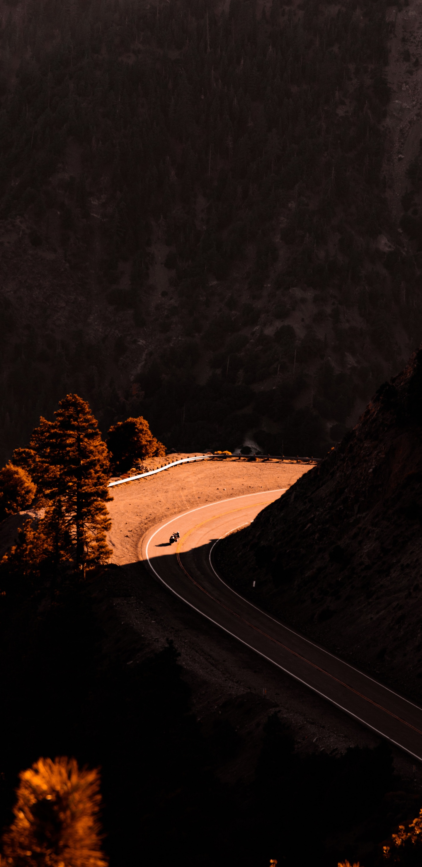 Solo Citas Largas en Coche, Comillas, Paisaje Natural, Madera, Pendiente. Wallpaper in 1440x2960 Resolution