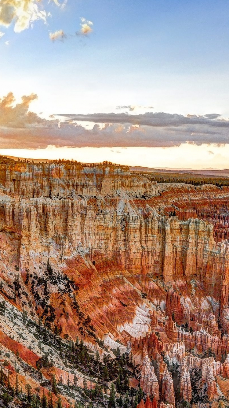 Árboles Marrones y Verdes Bajo un Cielo Azul Durante el Día. Wallpaper in 750x1334 Resolution