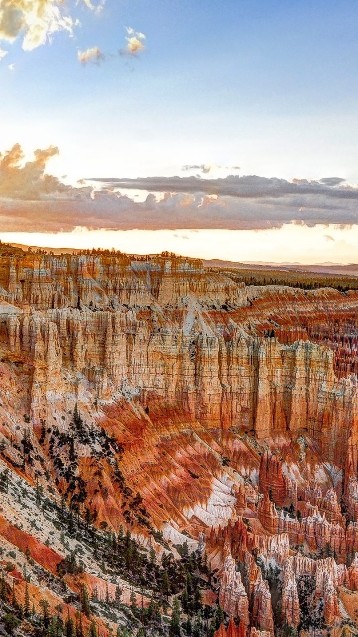 Arbres Bruns et Verts Sous Ciel Bleu Pendant la Journée. Wallpaper in 720x1280 Resolution