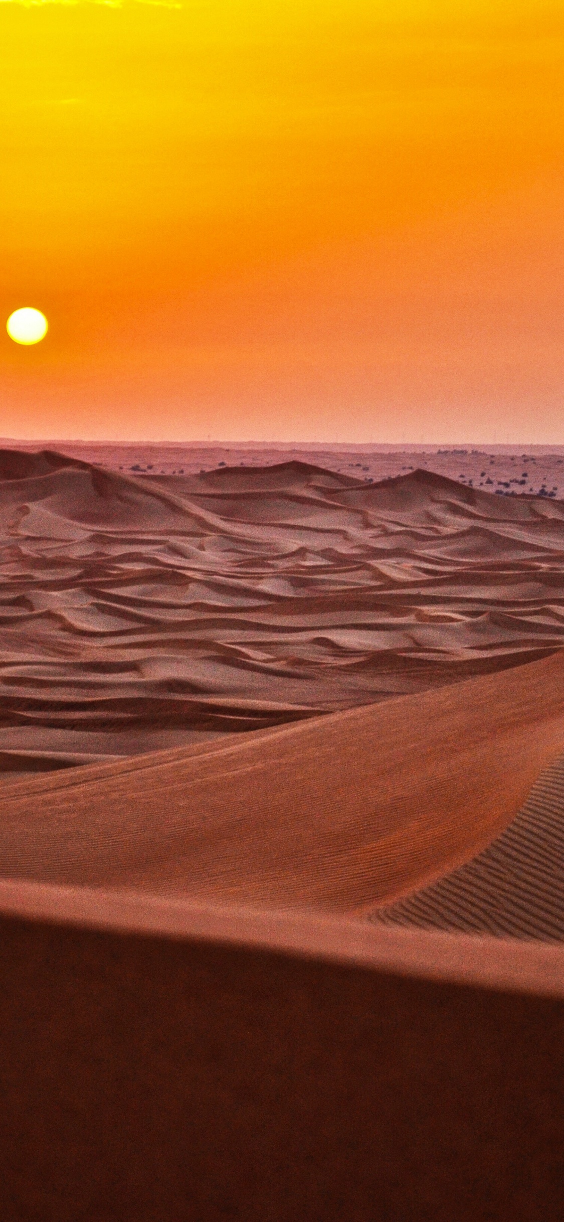 Désert du Sahara, Randonnée à Dos de Chameau, Désert, L'erg Chebbi, Dune. Wallpaper in 1125x2436 Resolution