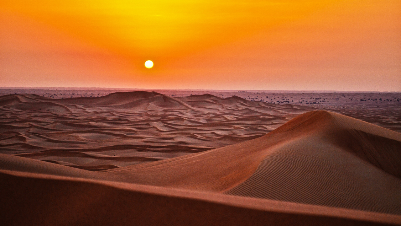 Sahara Desert, Camel Trekking, Desert, Erg Chebbi, Dune. Wallpaper in 1280x720 Resolution