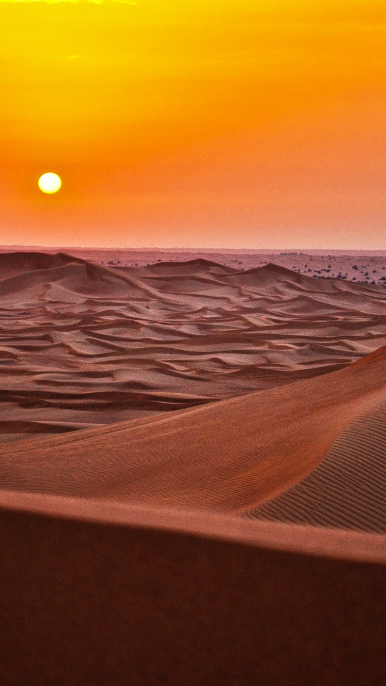Sahara Desert, Camel Trekking, Desert, Erg Chebbi, Dune. Wallpaper in 750x1334 Resolution
