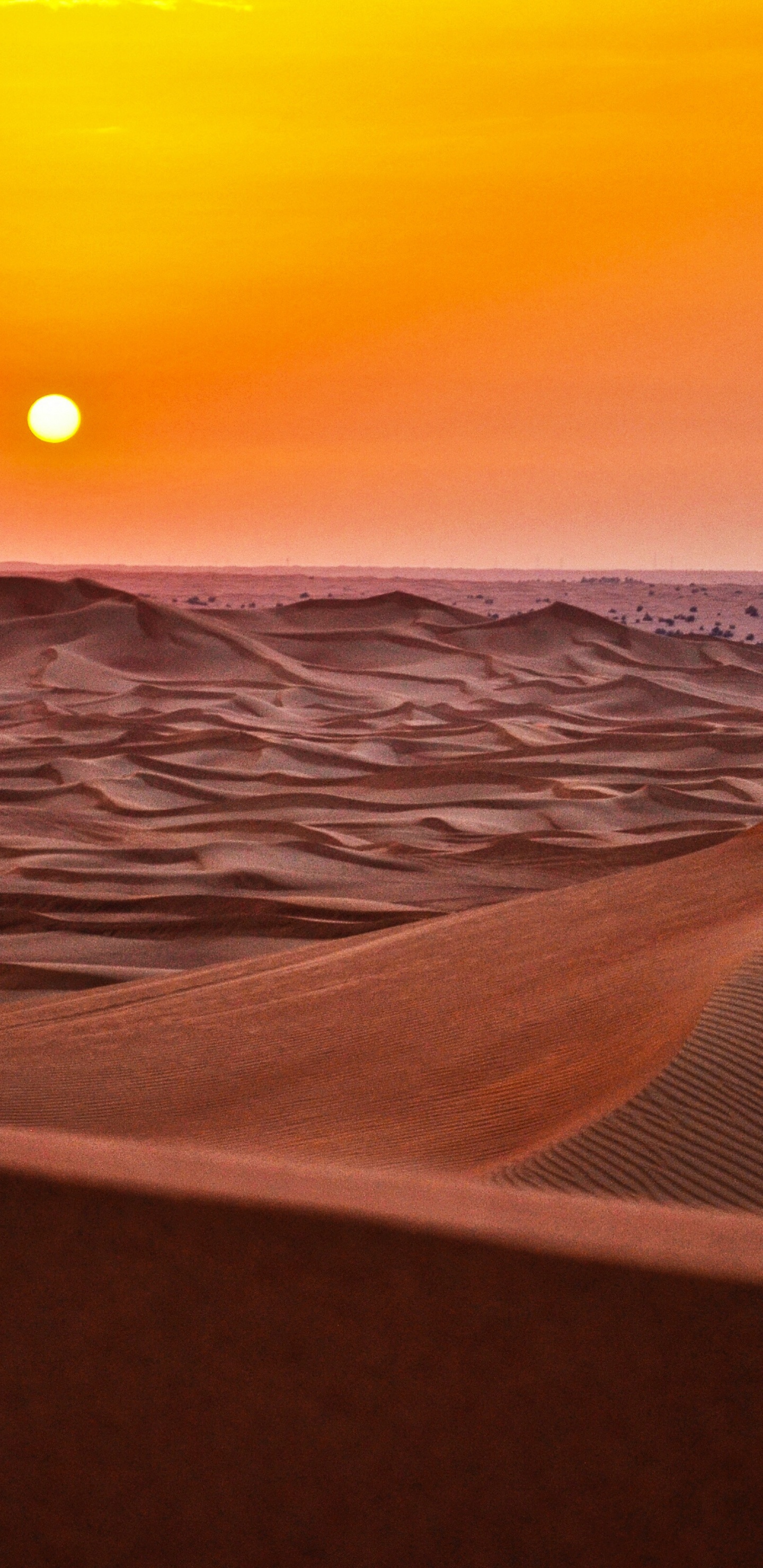 el Desierto Del Sahara, Paseo en Camello, Erg Chebbi, Duna, Arena. Wallpaper in 1440x2960 Resolution