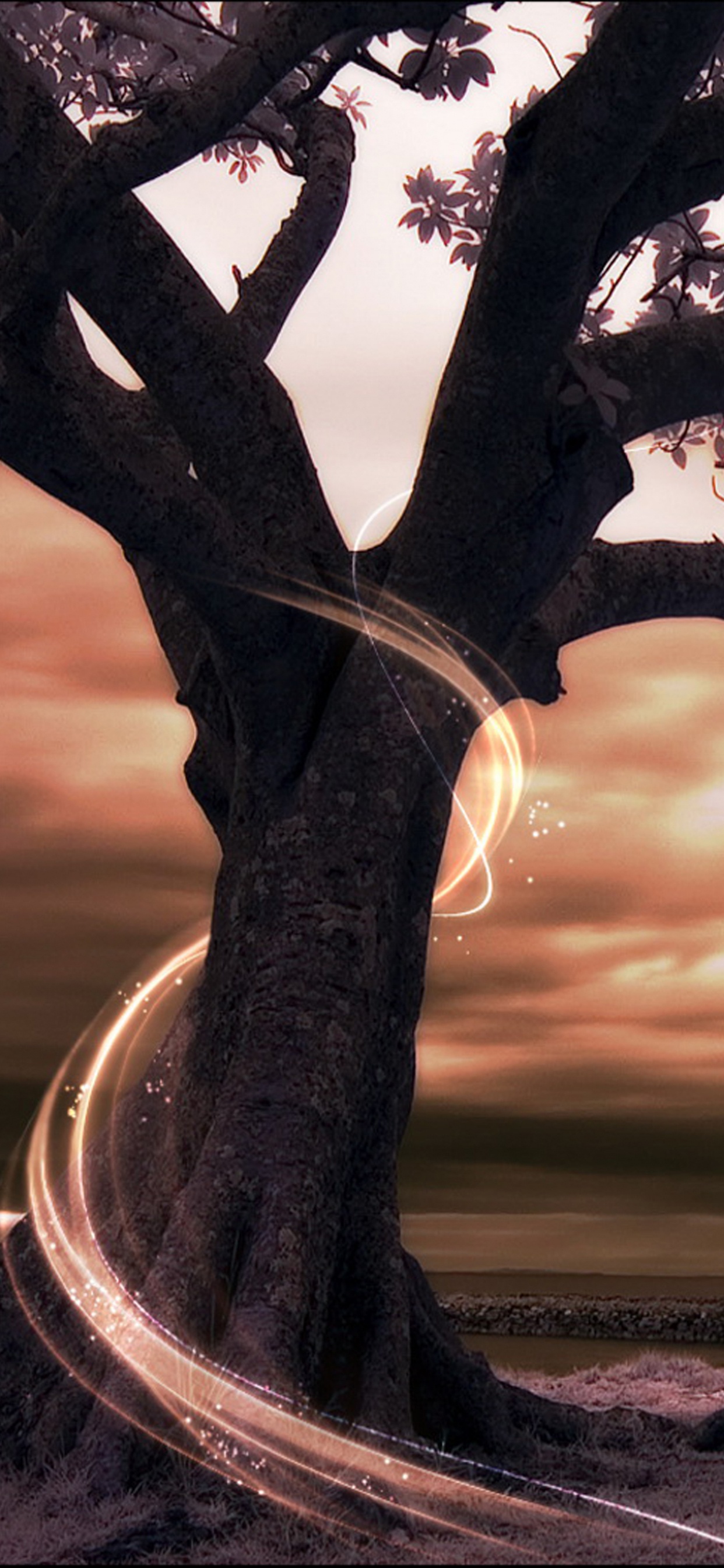 Arbre Noir Sur le Sable Gris Pendant le Coucher du Soleil. Wallpaper in 1242x2688 Resolution