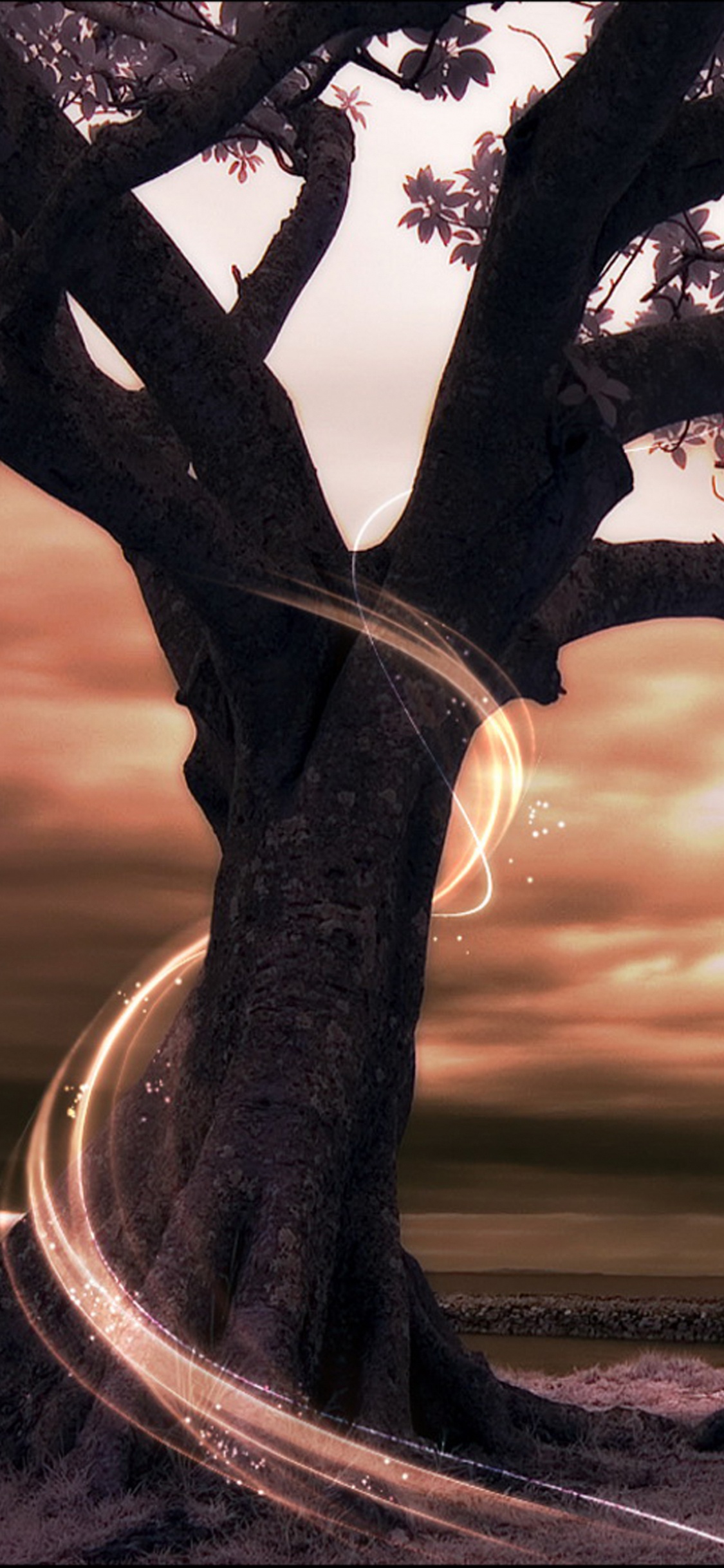 Black Tree on Gray Sand During Sunset. Wallpaper in 1125x2436 Resolution