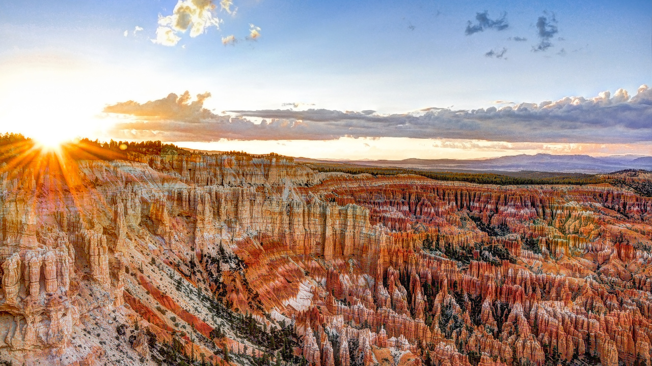 Brown and Green Trees Under Blue Sky During Daytime. Wallpaper in 1280x720 Resolution