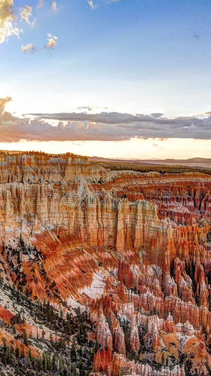 Braune Und Grüne Bäume Unter Blauem Himmel Tagsüber. Wallpaper in 720x1280 Resolution