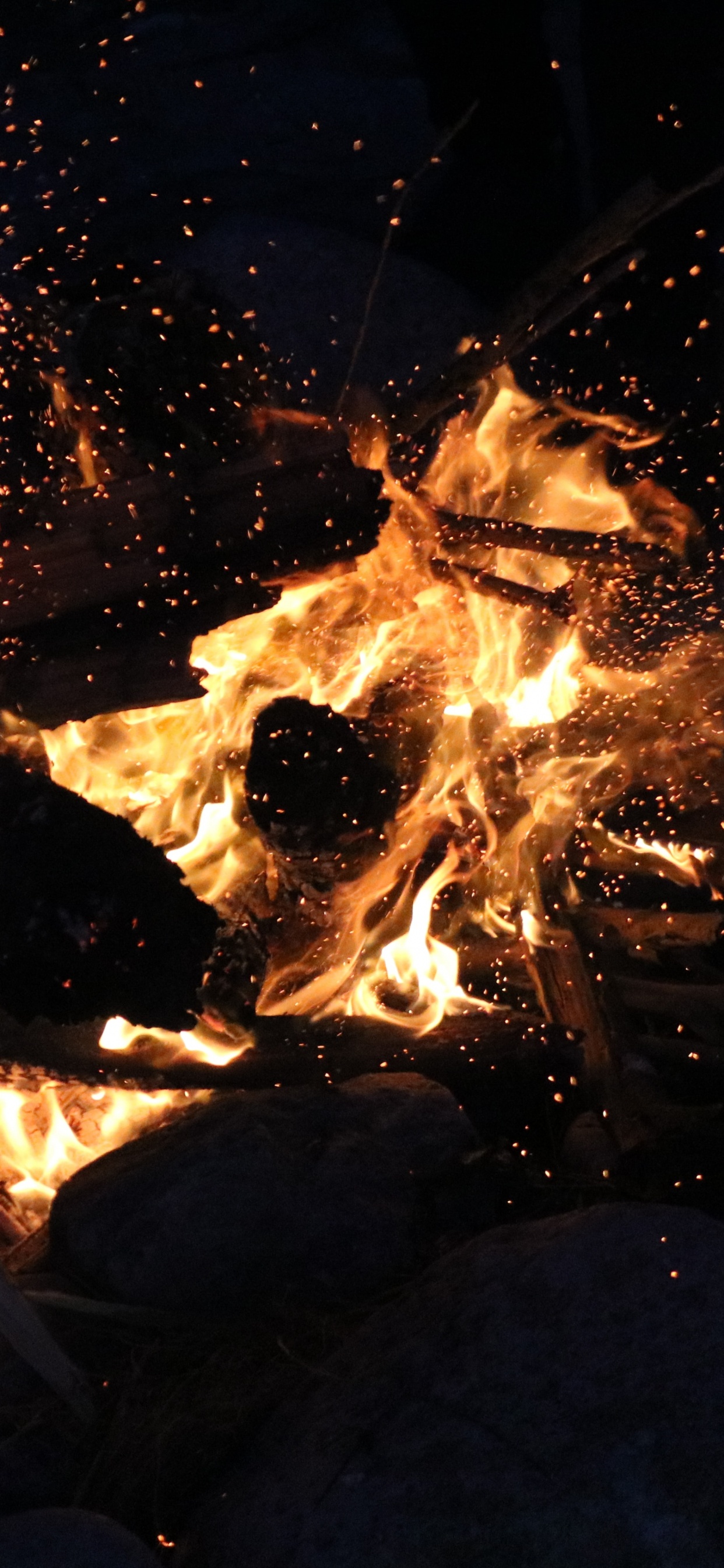 Burning Wood on Fire Pit. Wallpaper in 1242x2688 Resolution
