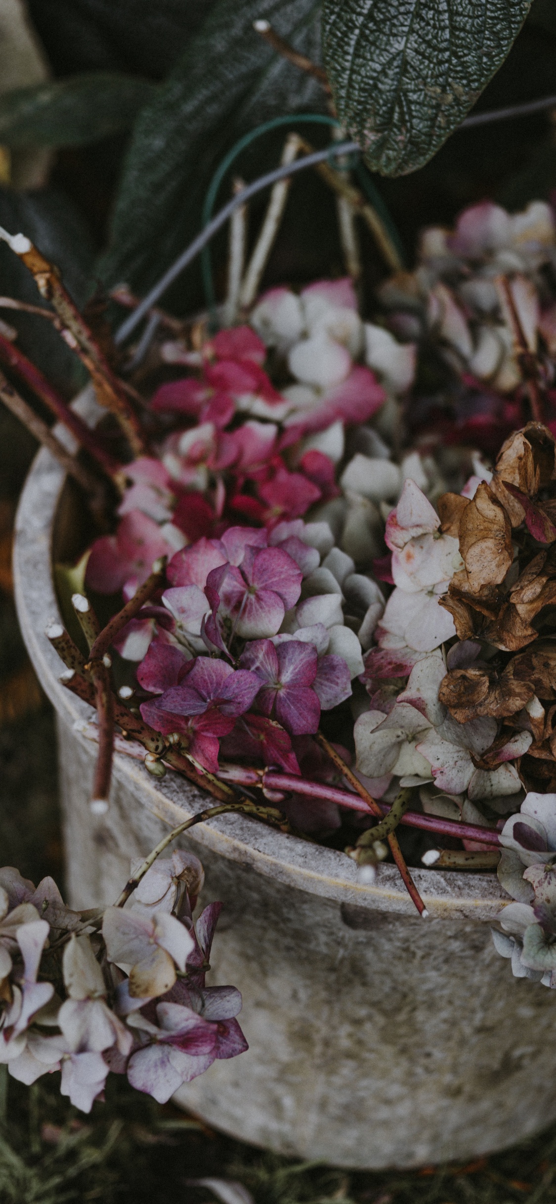 Flores Blancas y Moradas en la Rama de un Árbol Marrón. Wallpaper in 1125x2436 Resolution