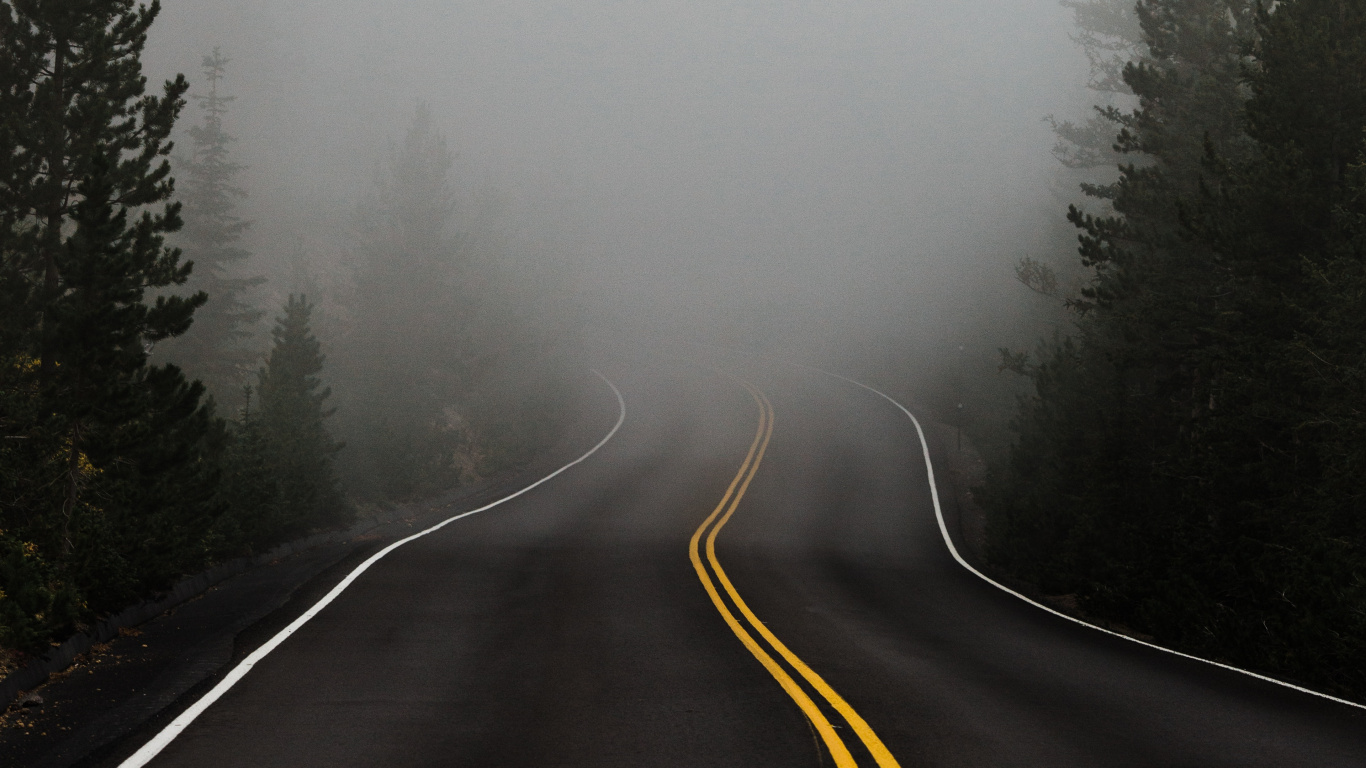 Bruma, Niebla, Invierno, Neblina, Nieve. Wallpaper in 1366x768 Resolution