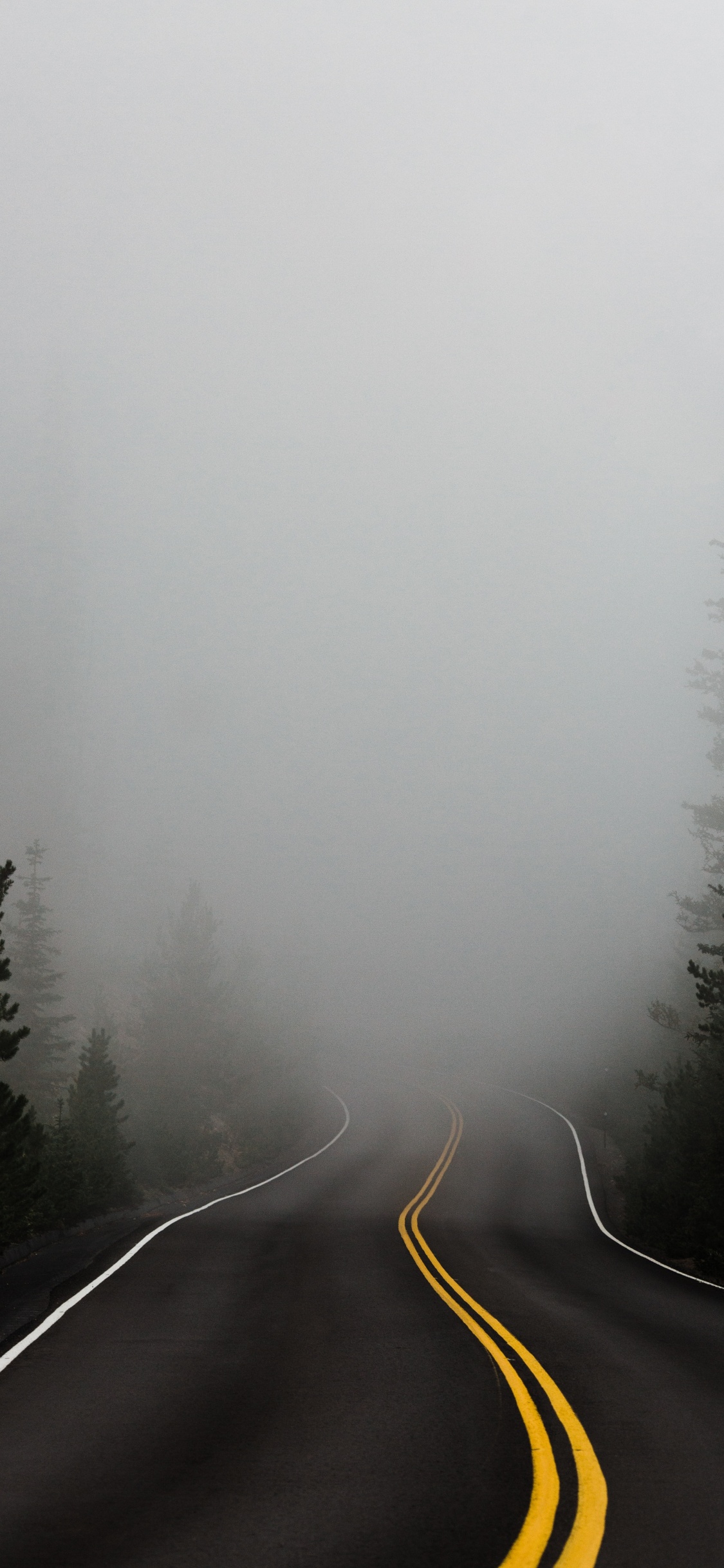 Fog, Mist, Tree, Winter, Haze. Wallpaper in 1125x2436 Resolution