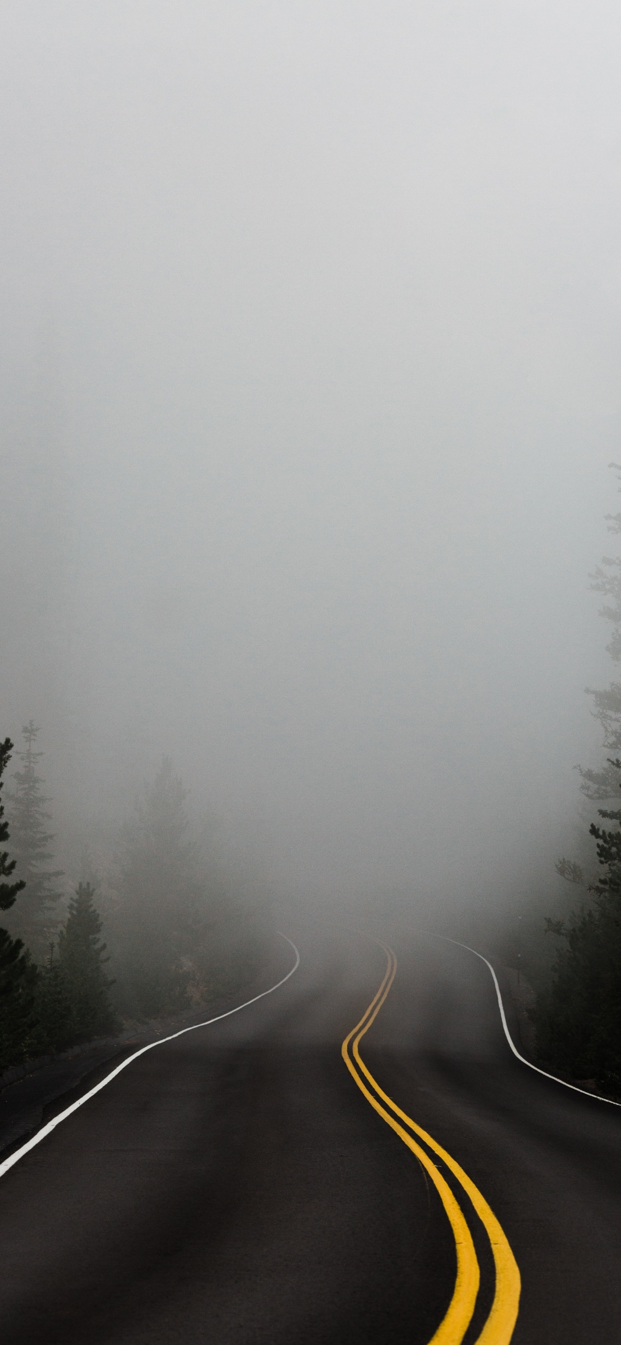 Fog, Mist, Tree, Winter, Haze. Wallpaper in 1242x2688 Resolution
