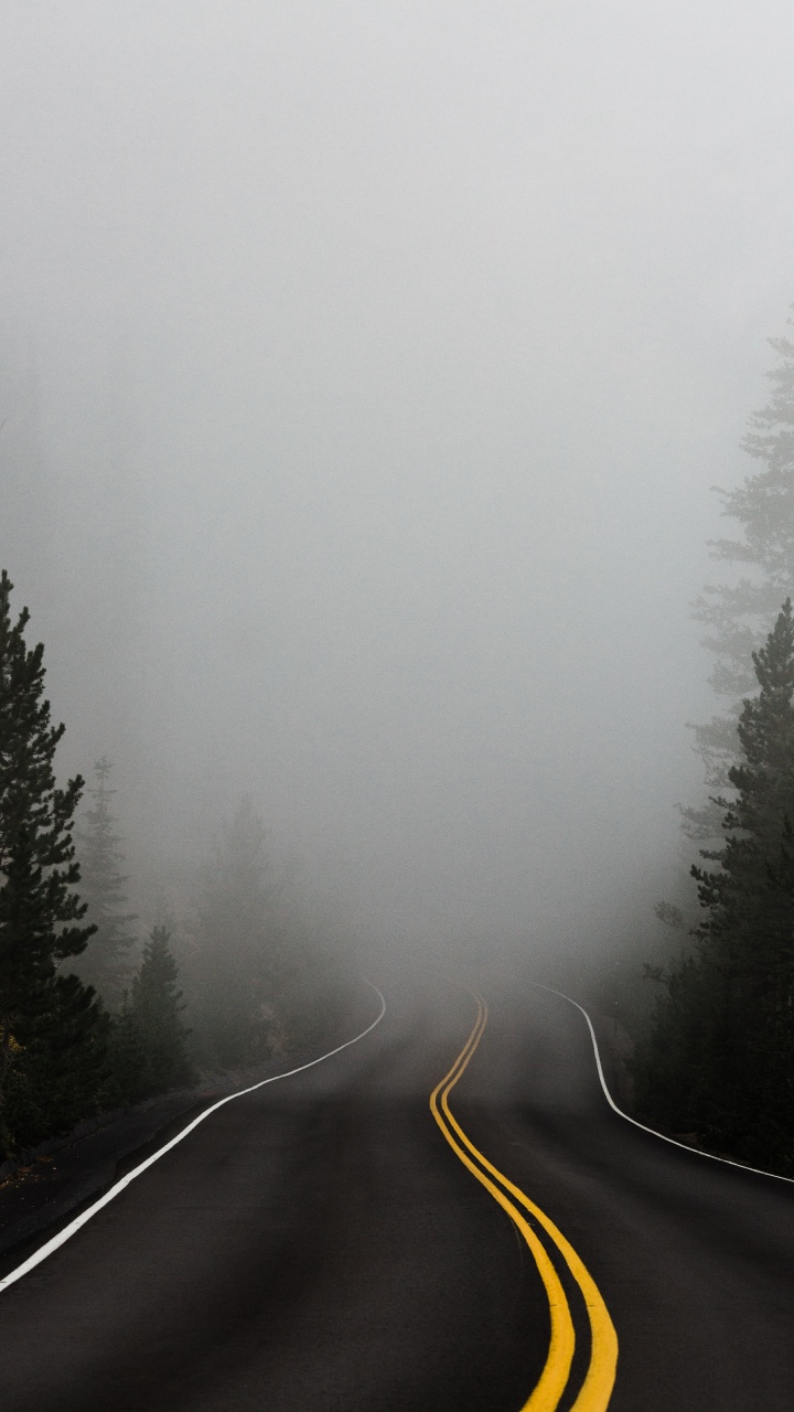 Fog, Mist, Tree, Winter, Haze. Wallpaper in 720x1280 Resolution