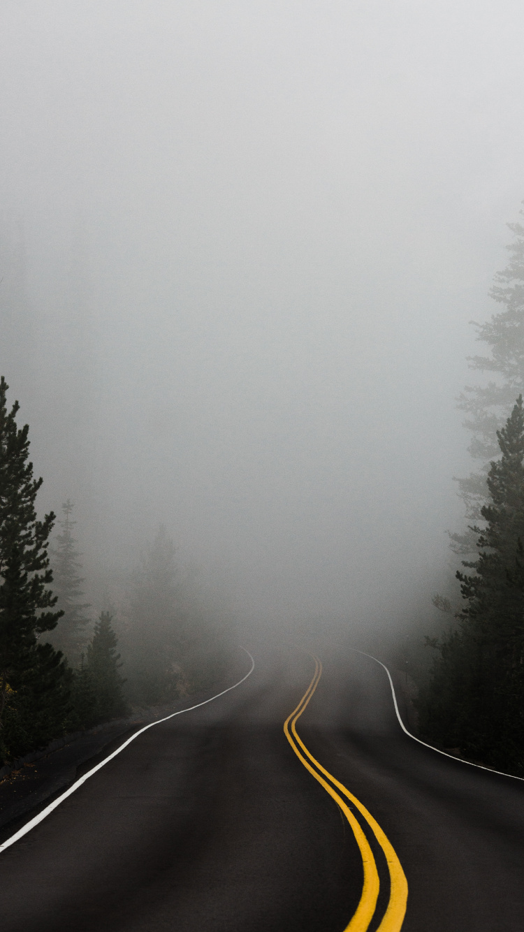 Fog, Mist, Tree, Winter, Haze. Wallpaper in 750x1334 Resolution