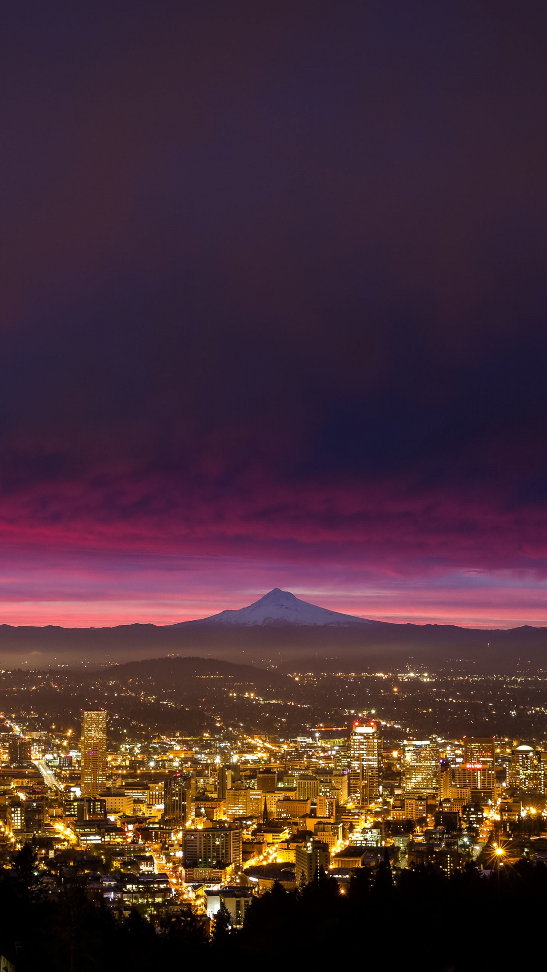 City Skyline During Night Time. Wallpaper in 1080x1920 Resolution