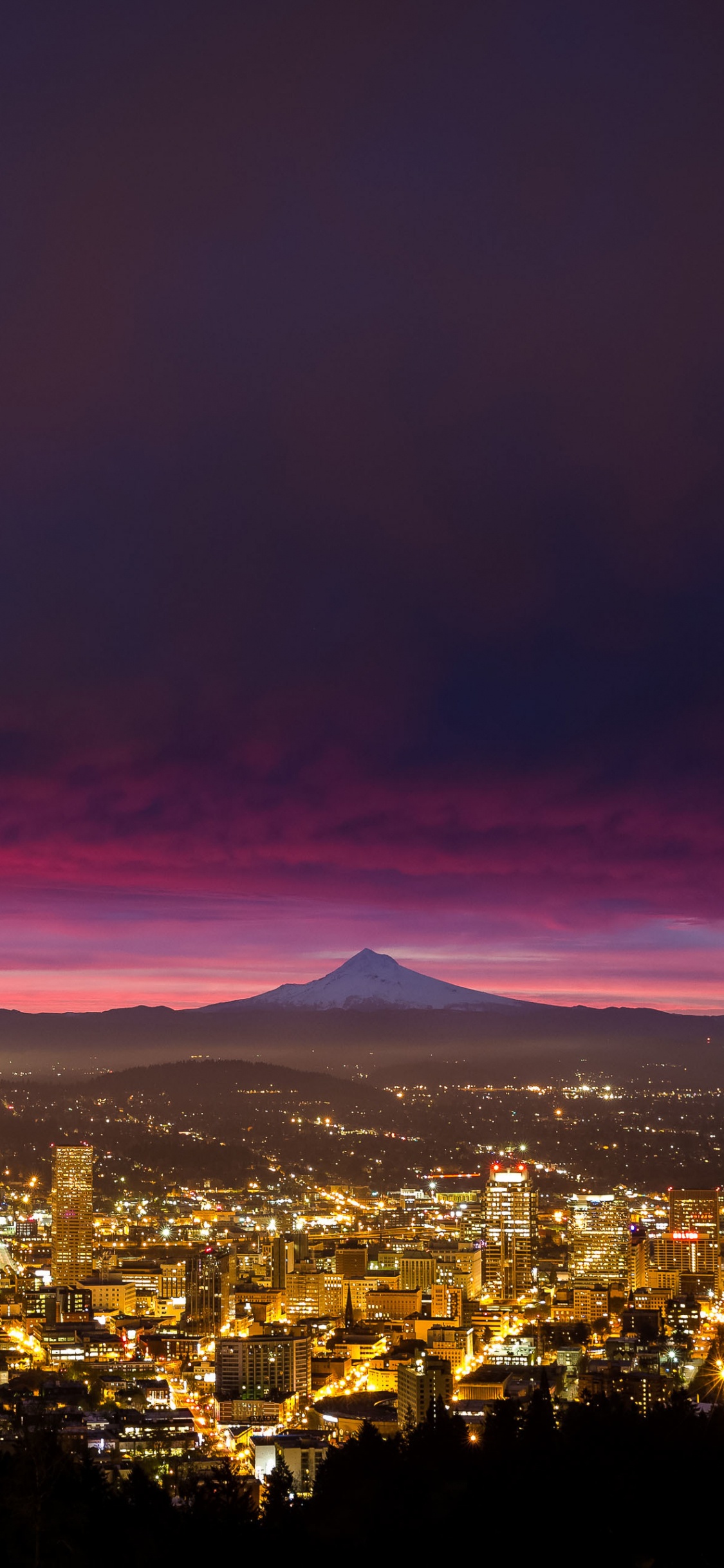 City Skyline During Night Time. Wallpaper in 1125x2436 Resolution