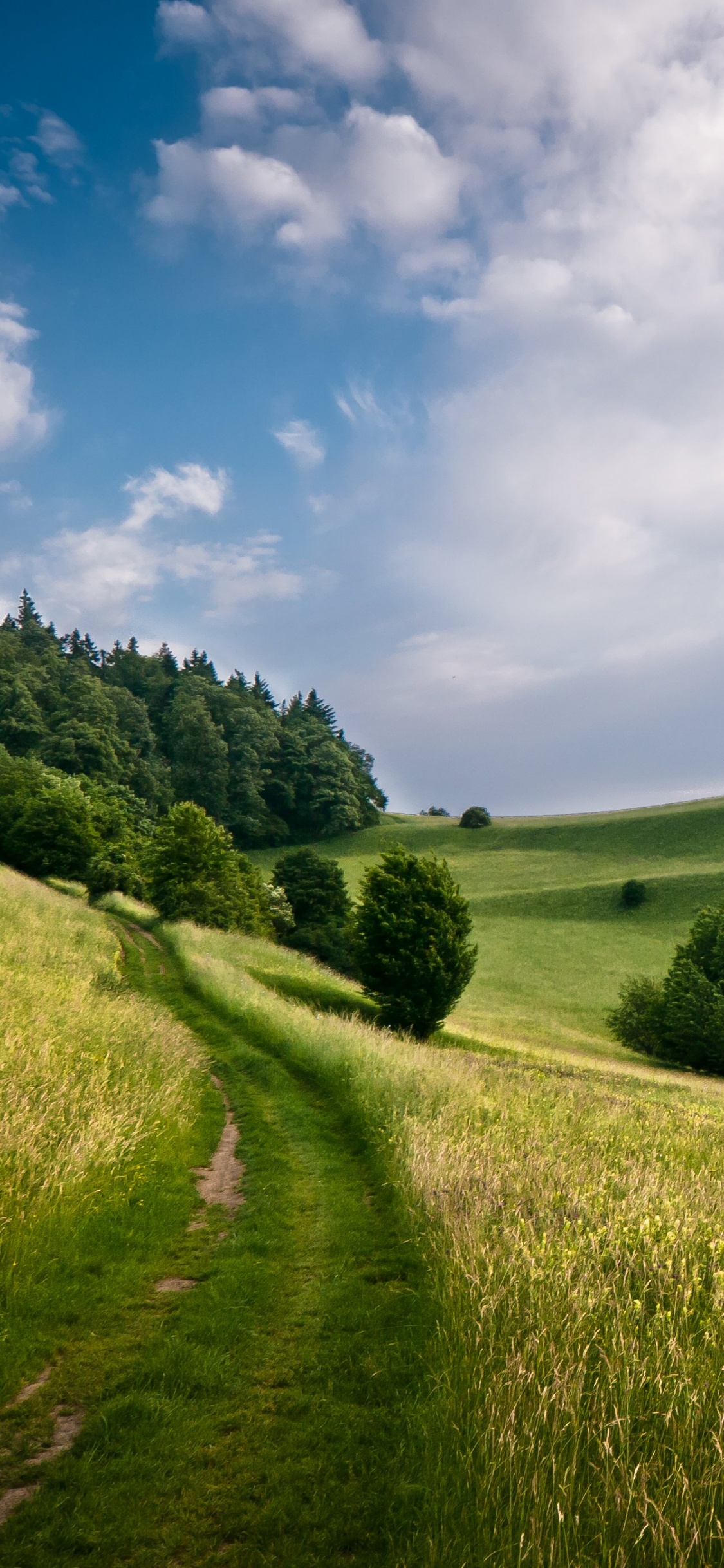 Campo de Hierba Verde Bajo un Cielo Azul Durante el Día. Wallpaper in 1125x2436 Resolution