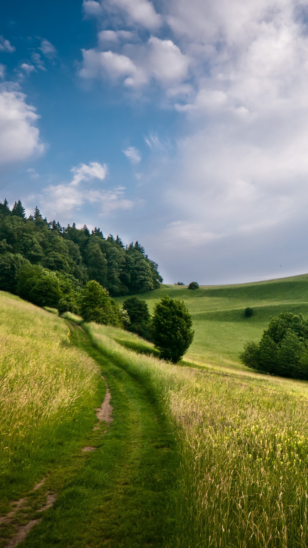 Green Grass Field Under Blue Sky During Daytime. Wallpaper in 1080x1920 Resolution