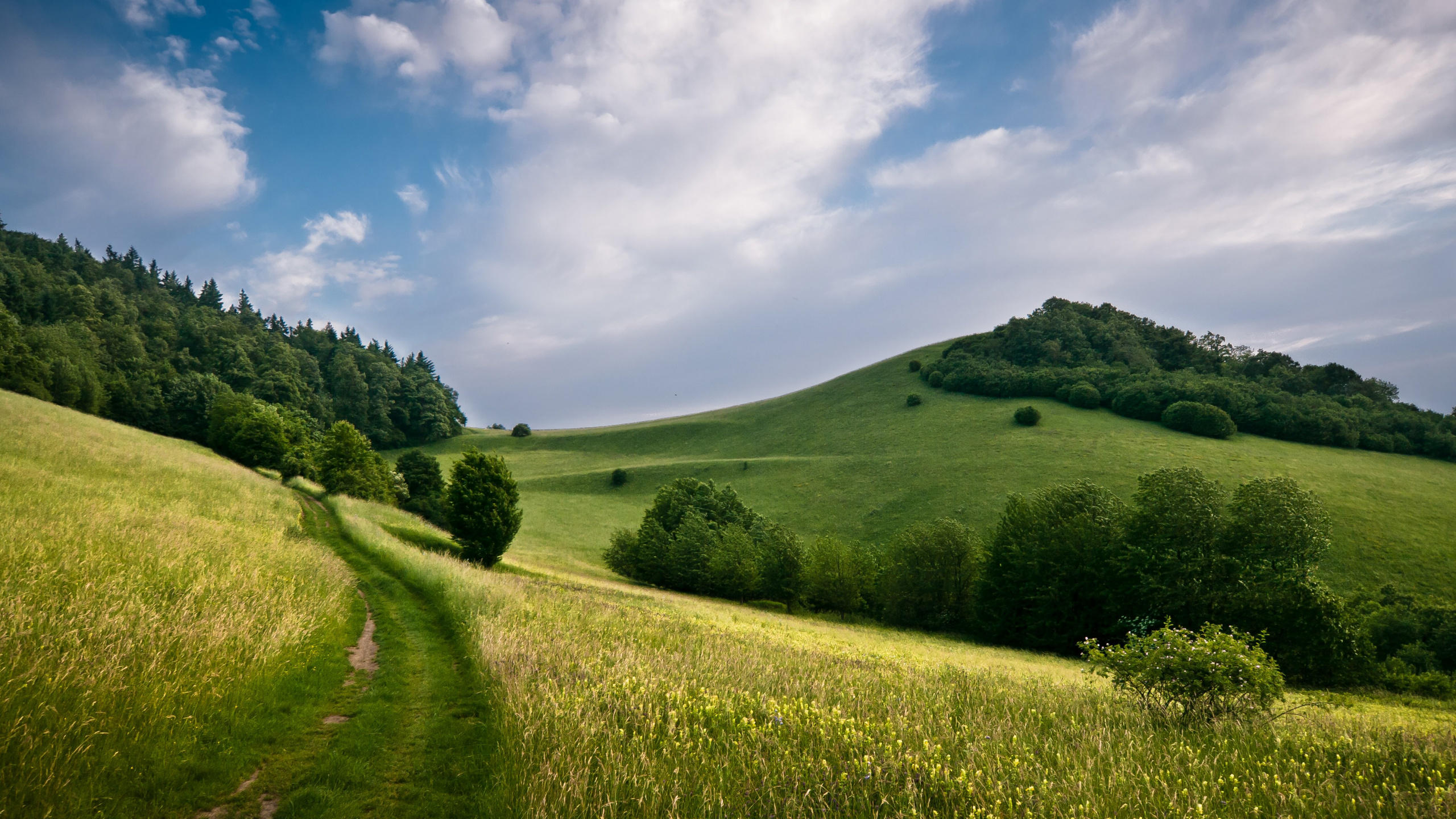 Green Grass Field Under Blue Sky During Daytime. Wallpaper in 2560x1440 Resolution