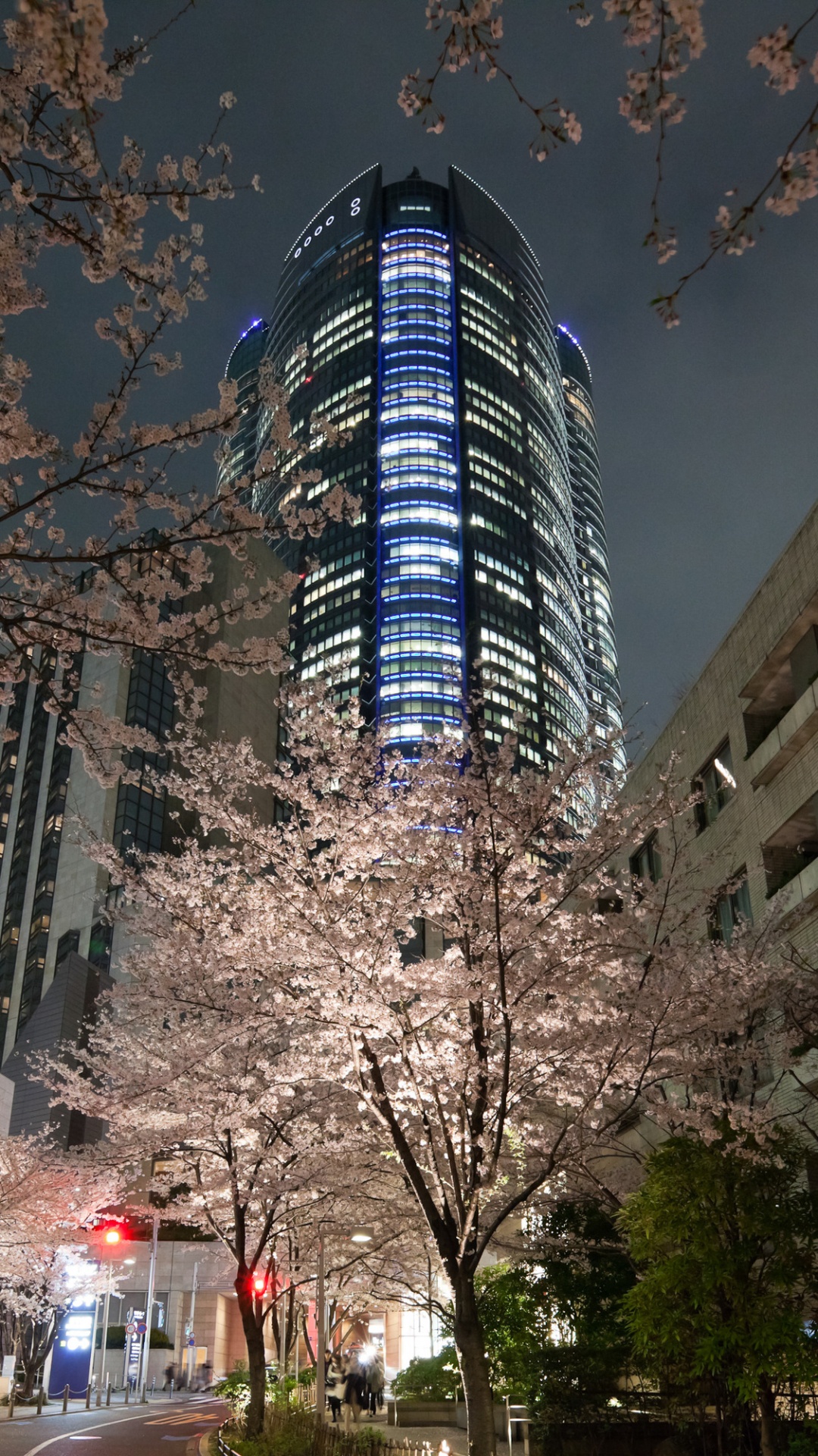 赏花, 樱花, 大都会, 人类住区, 建筑 壁纸 1080x1920 允许