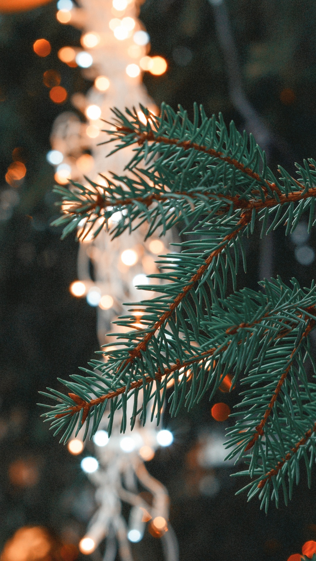 Christmas Day, Christmas Tree, Christmas Ornament, Tree, Branch. Wallpaper in 1080x1920 Resolution