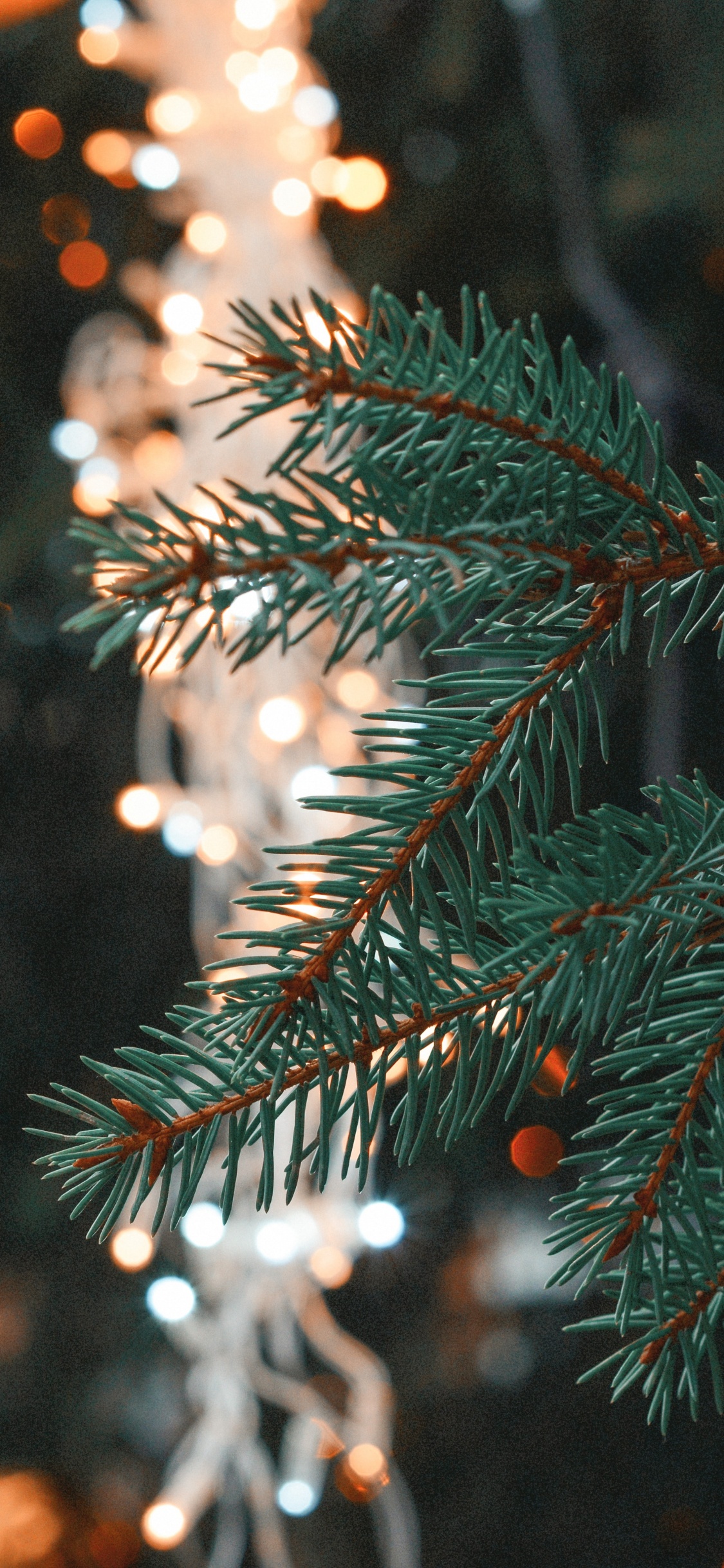 Christmas Day, Christmas Tree, Christmas Ornament, Tree, Branch. Wallpaper in 1125x2436 Resolution