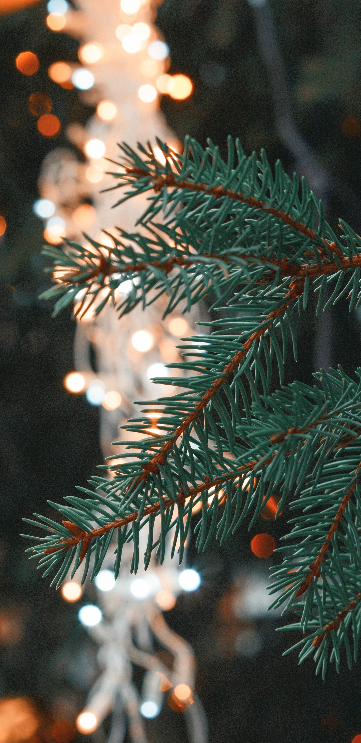 Weihnachten, Weihnachtsbaum, Christmas Ornament, Baum, Branch. Wallpaper in 1440x2960 Resolution
