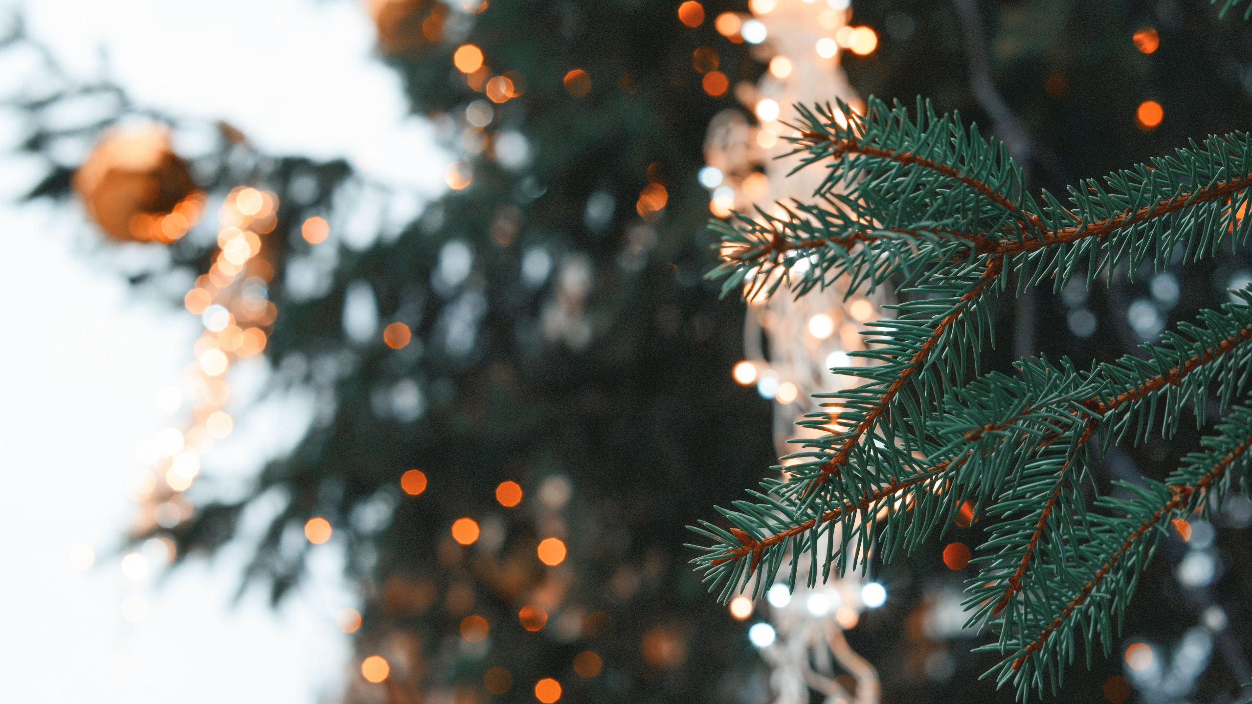 Weihnachten, Weihnachtsbaum, Christmas Ornament, Baum, Branch. Wallpaper in 2560x1440 Resolution